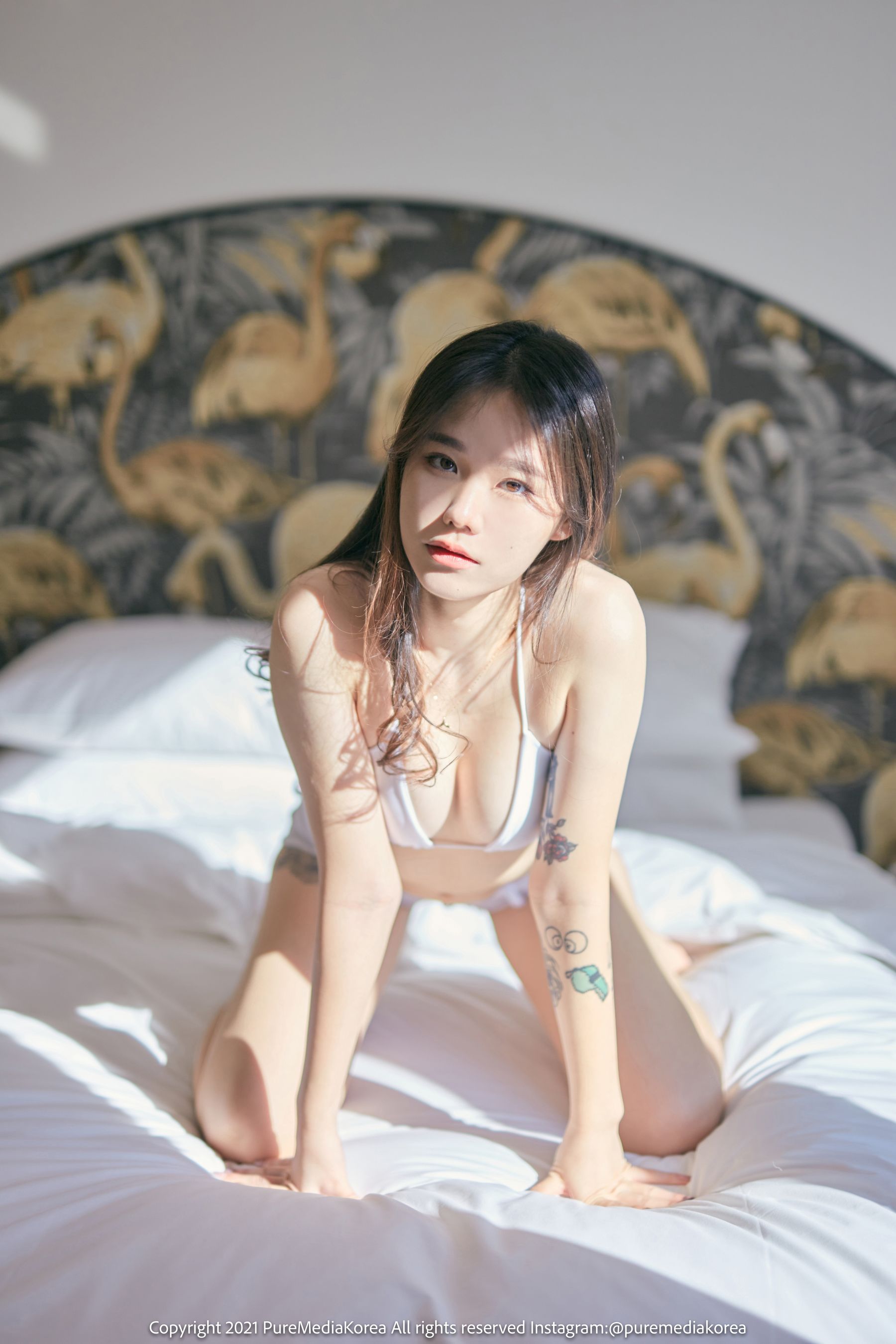 图片[3] - [PURE MEDIA] Vol.140 - Sira [102P] - 机器猫次元 - 机器猫次元