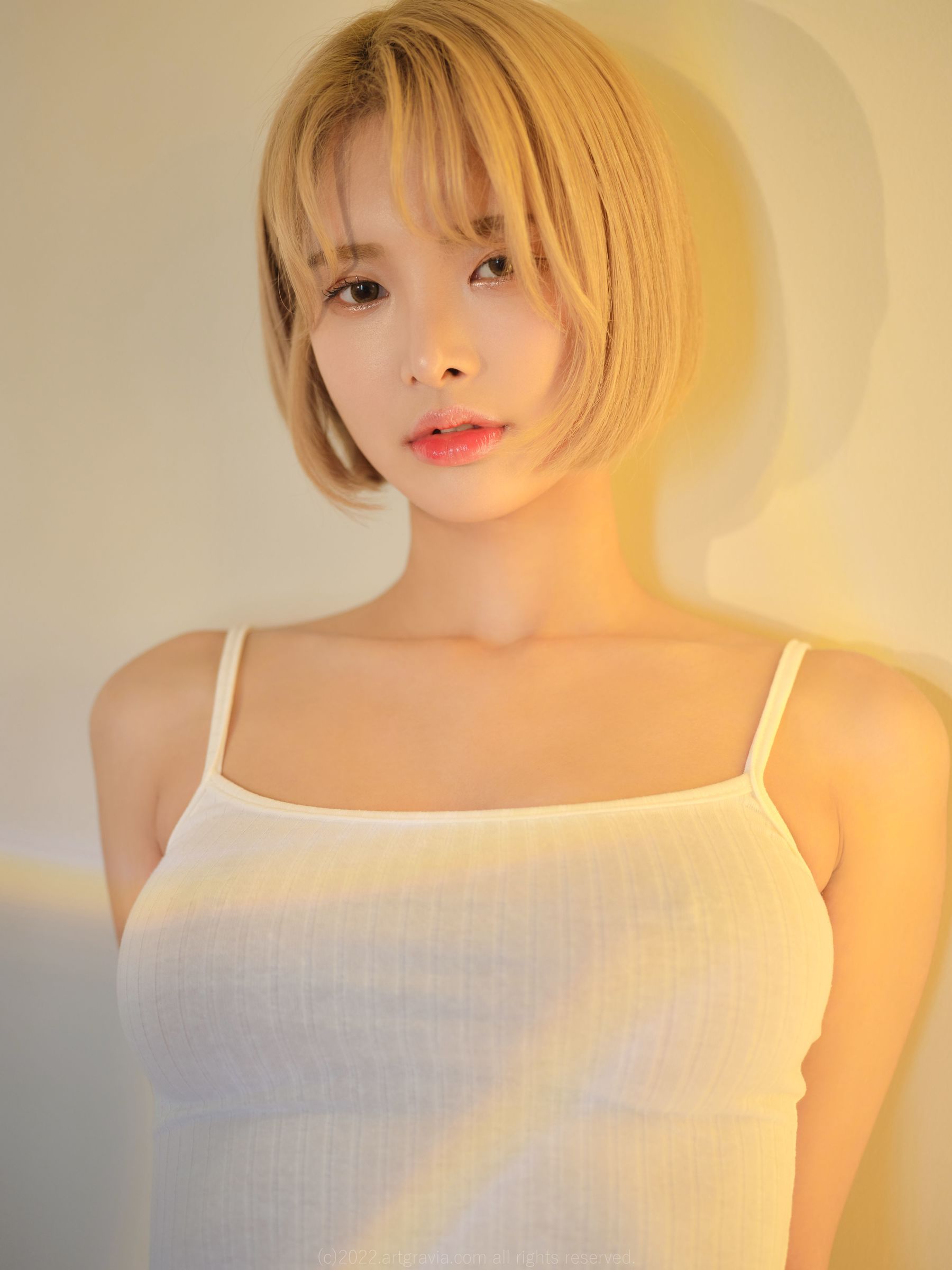 图片[2] - [ARTGRAVIA] VOL.396 HyoYeon [99P] - 机器猫次元 - 机器猫次元