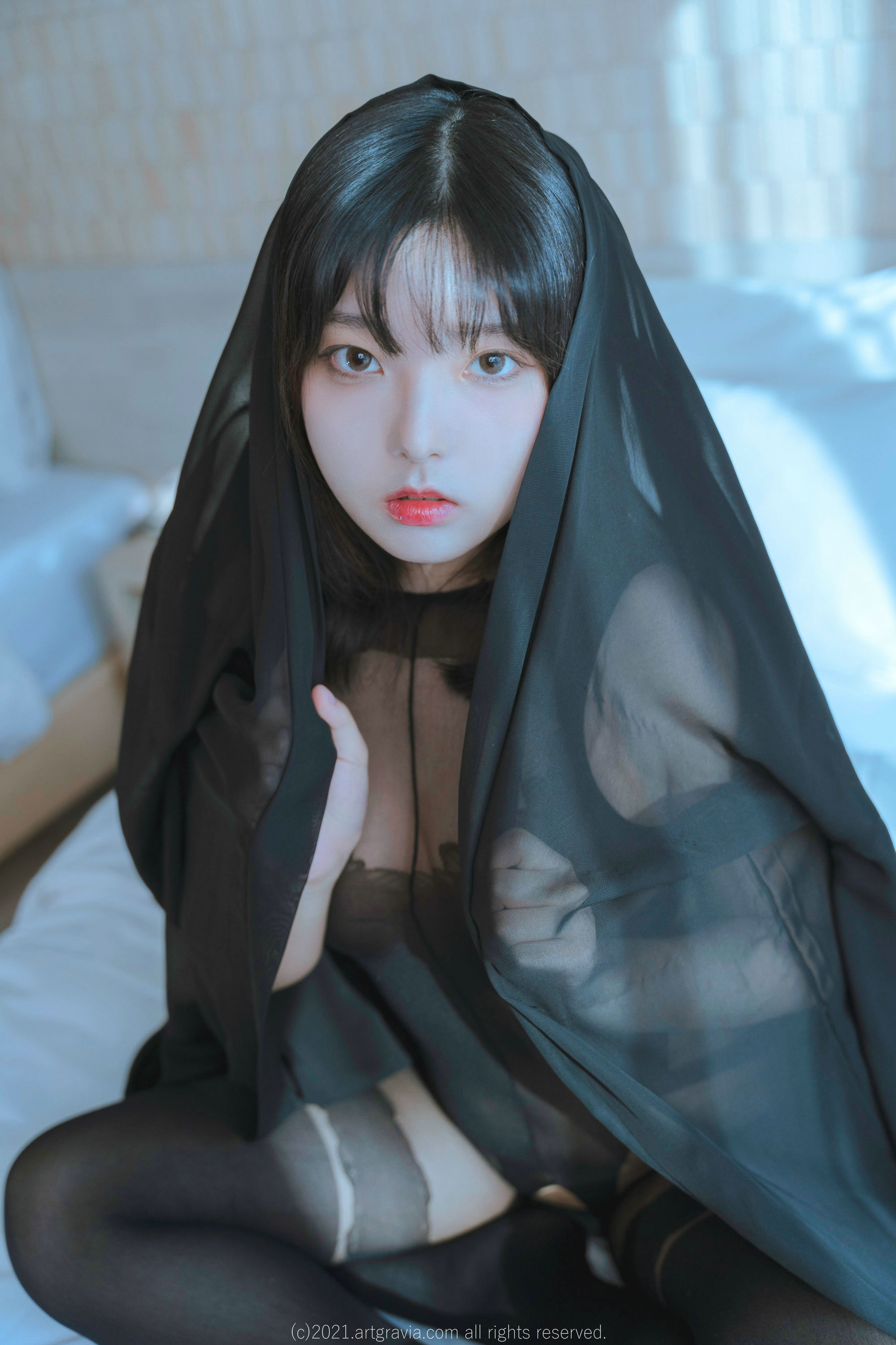 图片[2] - [ARTGRAVIA] Hansom [93P] - 机器猫次元 - 机器猫次元