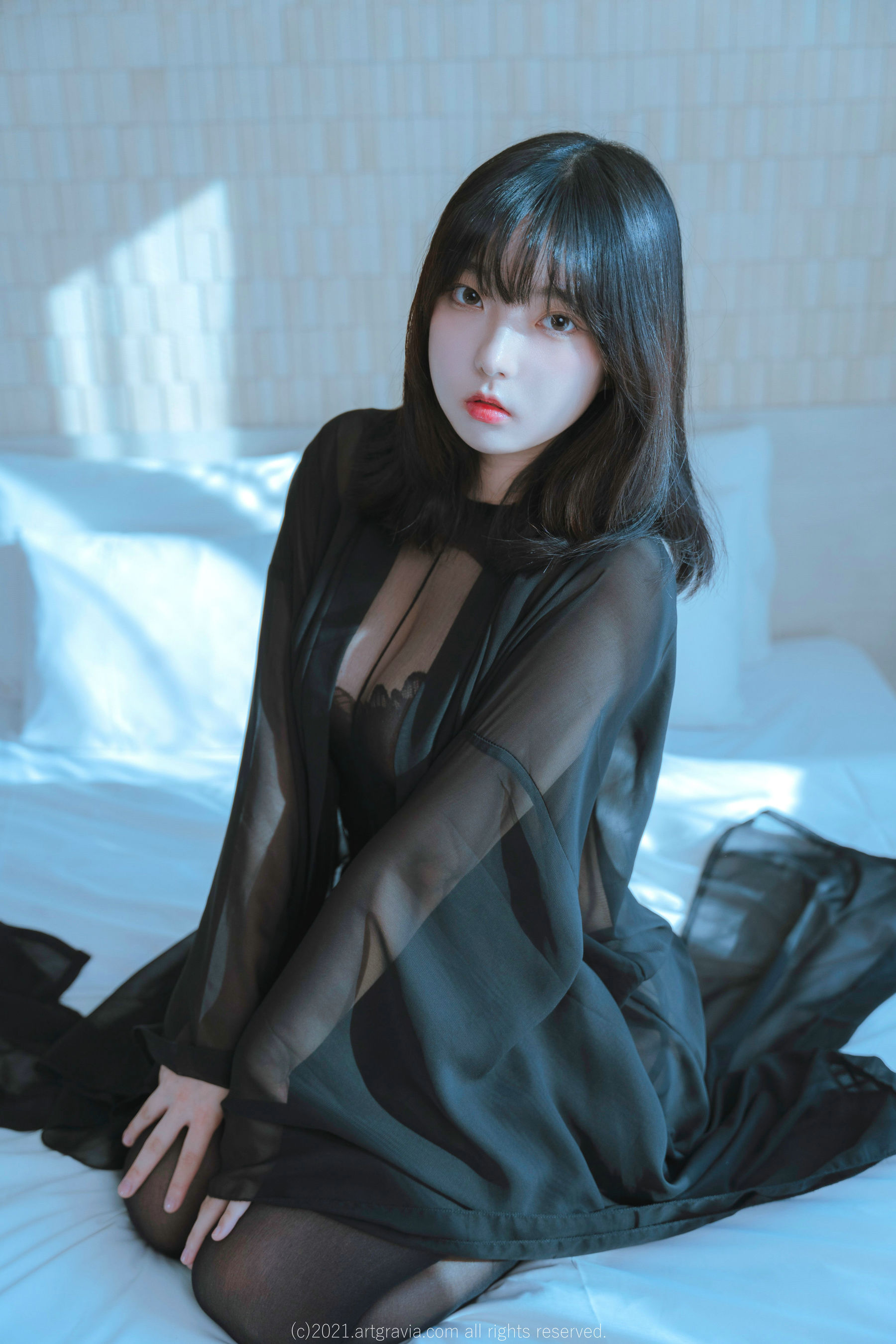 图片[1] - [ARTGRAVIA] Hansom [93P] - 机器猫次元 - 机器猫次元