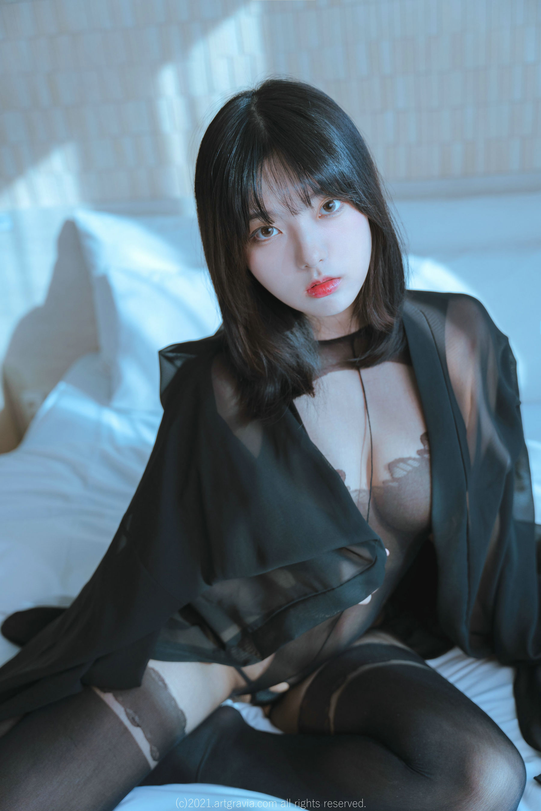 图片[3] - [ARTGRAVIA] Hansom [93P] - 机器猫次元 - 机器猫次元