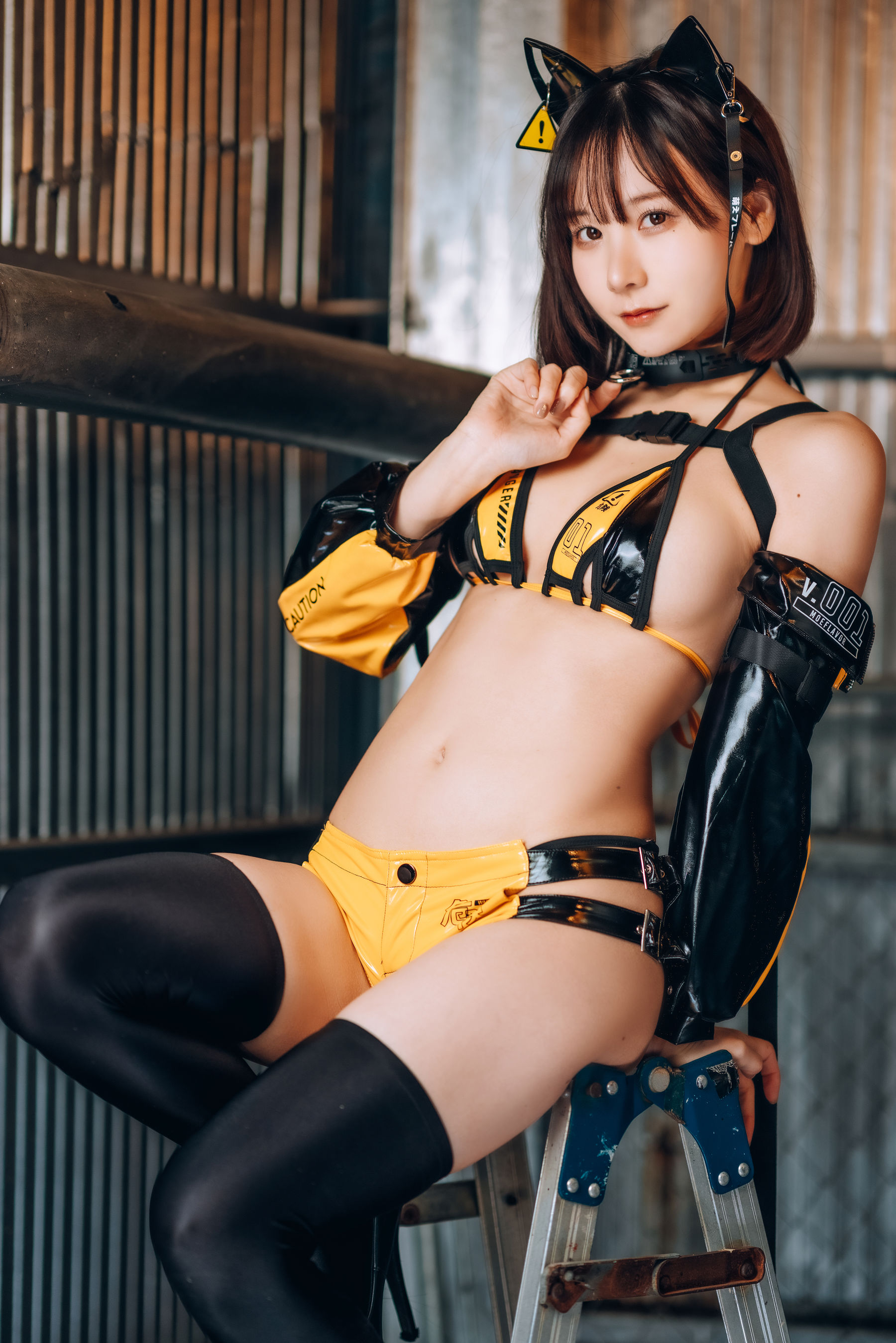 图片[3] - 小猫咪 [19P] - 机器猫次元 - 机器猫次元
