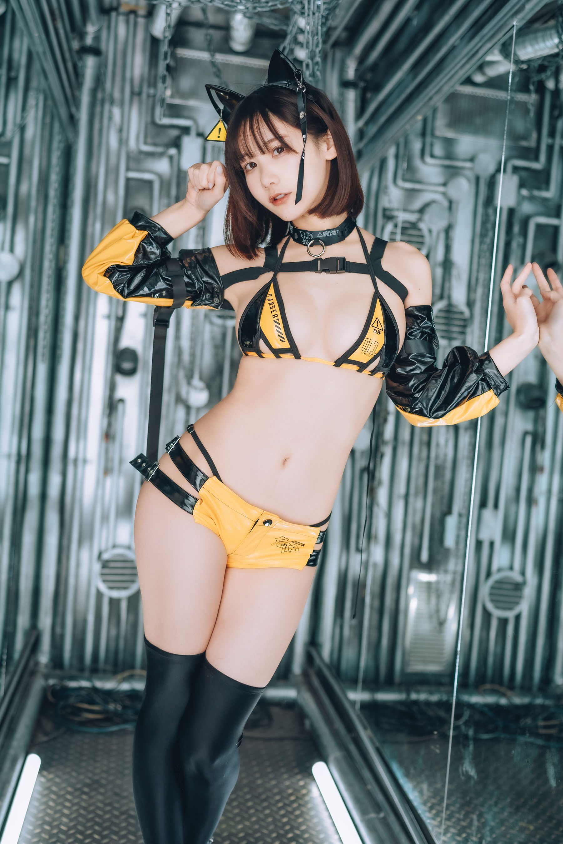 图片[1] - 小猫咪 [19P] - 机器猫次元 - 机器猫次元
