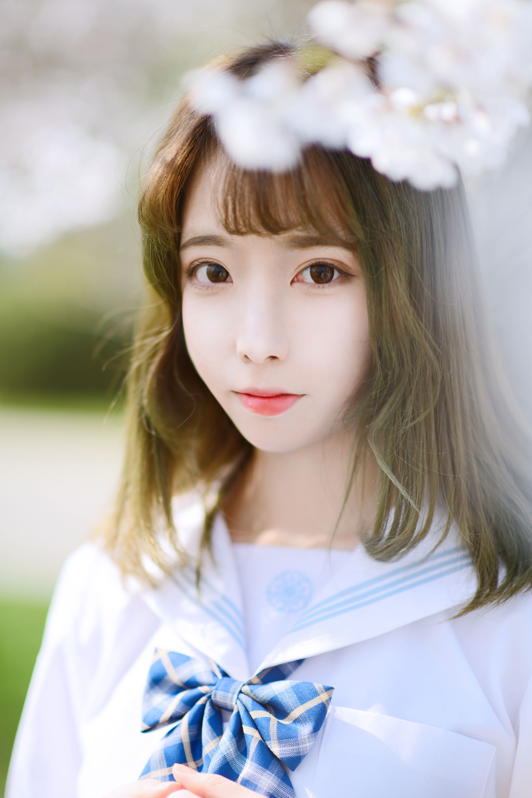 图片[1] - Fushii_海堂 - 樱花树下 [41P] - 机器猫次元 - 机器猫次元