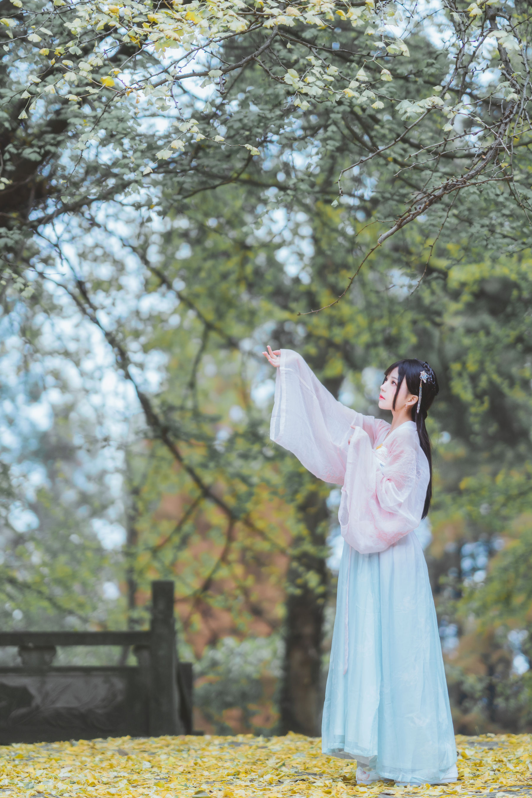 图片[3] - 桜桃喵 - 温柔之汉服银杏 [10P] - 机器猫次元 - 机器猫次元