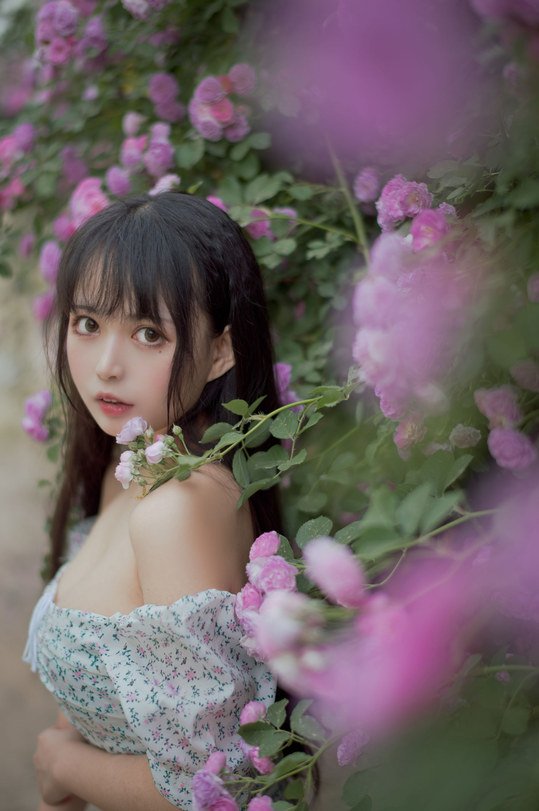 图片[3] - 黑猫猫OvO - 蔷薇2 [27P] - 机器猫次元 - 机器猫次元