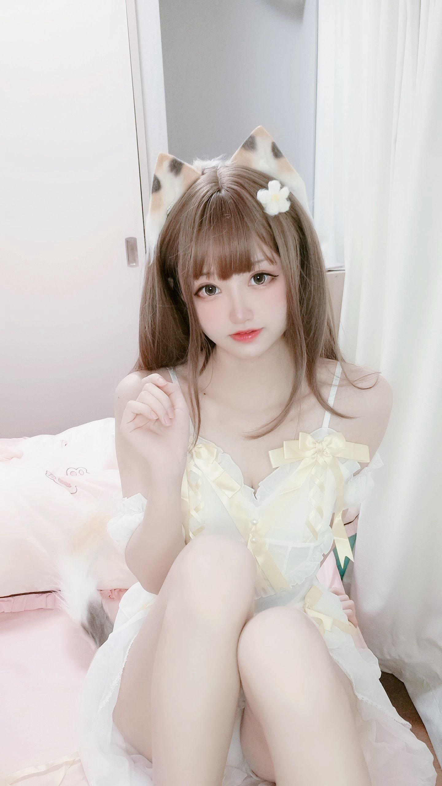 图片[2] - 千阳 - 三花猫 [12P] - 机器猫次元 - 机器猫次元