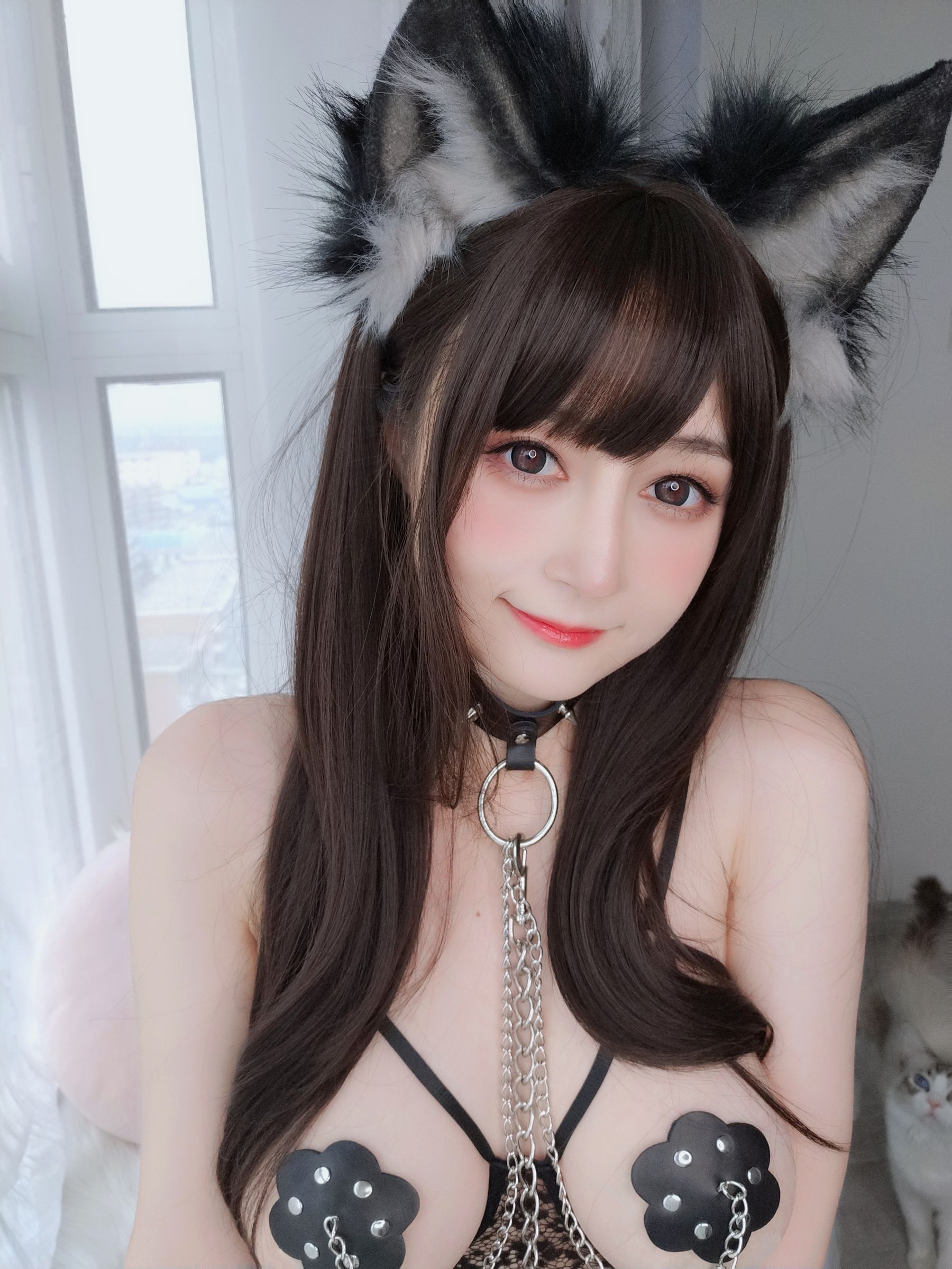 图片[1] - 白银81 - 可愛い犬 [25P] - 机器猫次元 - 机器猫次元