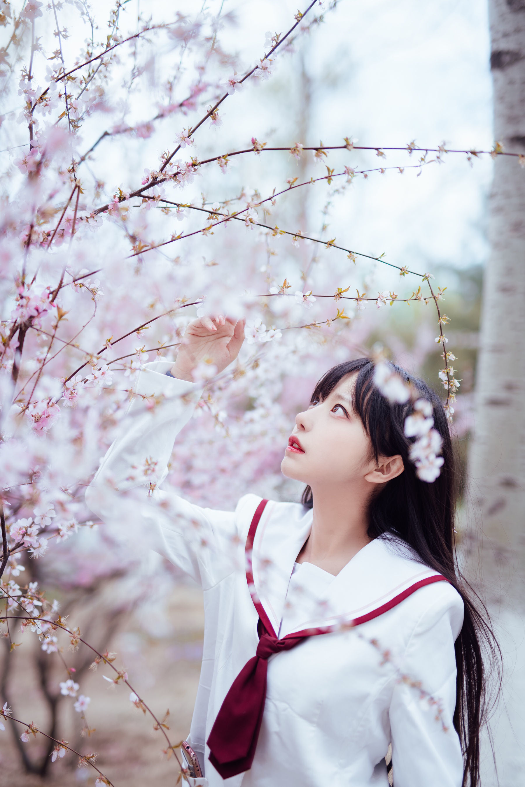 图片[2] - Shika小鹿鹿 - 樱花 [13P] - 机器猫次元 - 机器猫次元