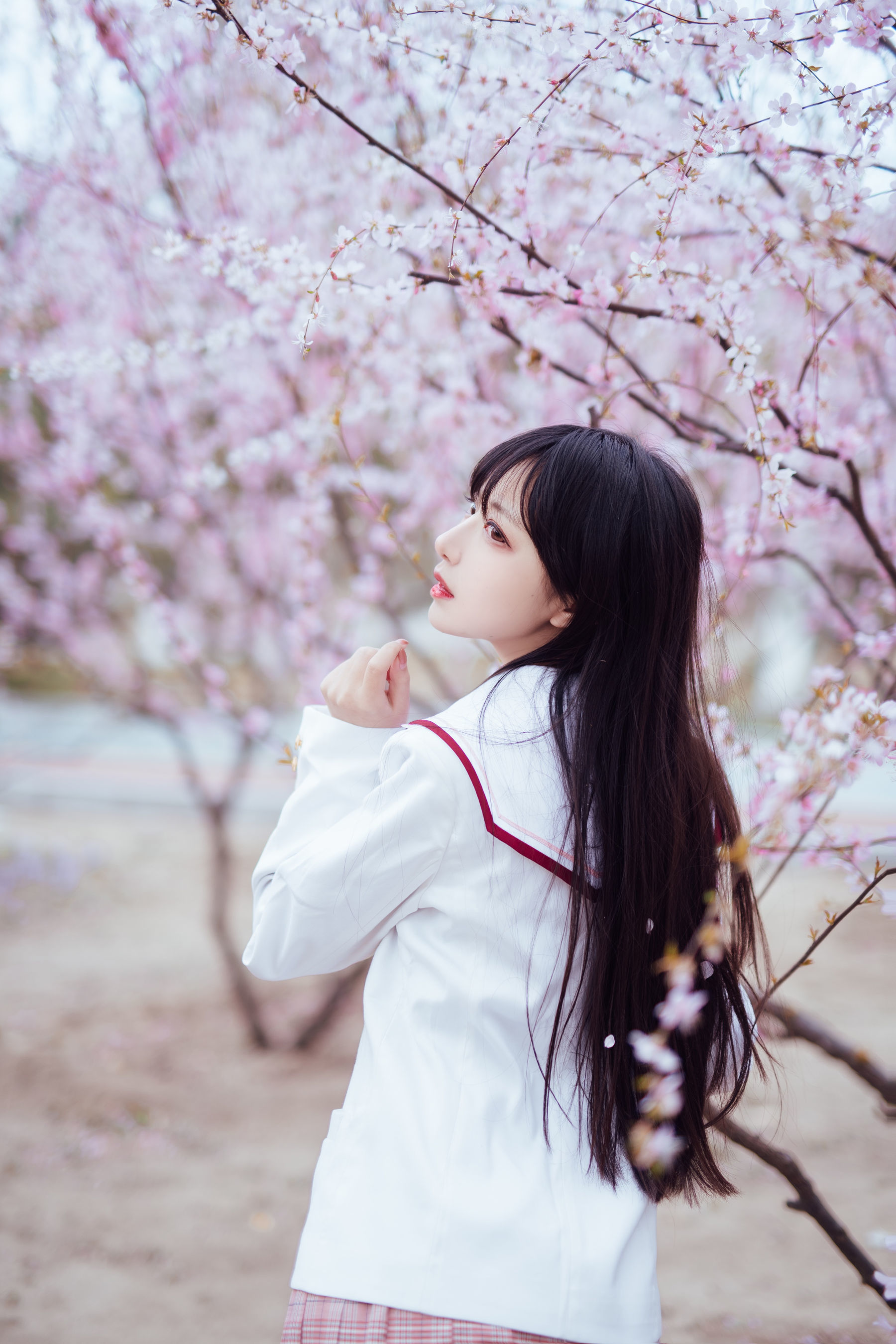图片[4] - Shika小鹿鹿 - 樱花 [13P] - 机器猫次元 - 机器猫次元