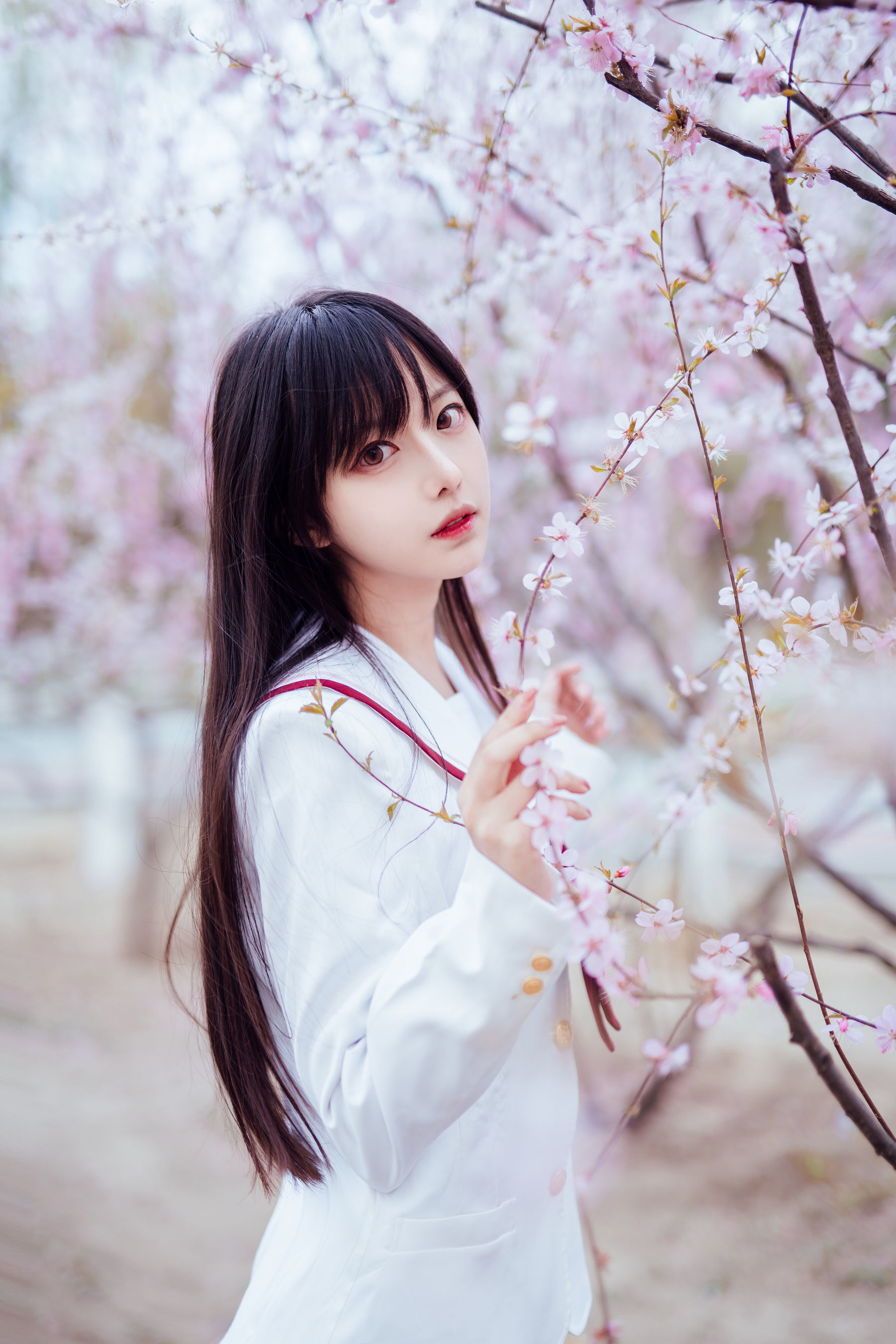 图片[7] - Shika小鹿鹿 - 樱花 [13P] - 机器猫次元 - 机器猫次元