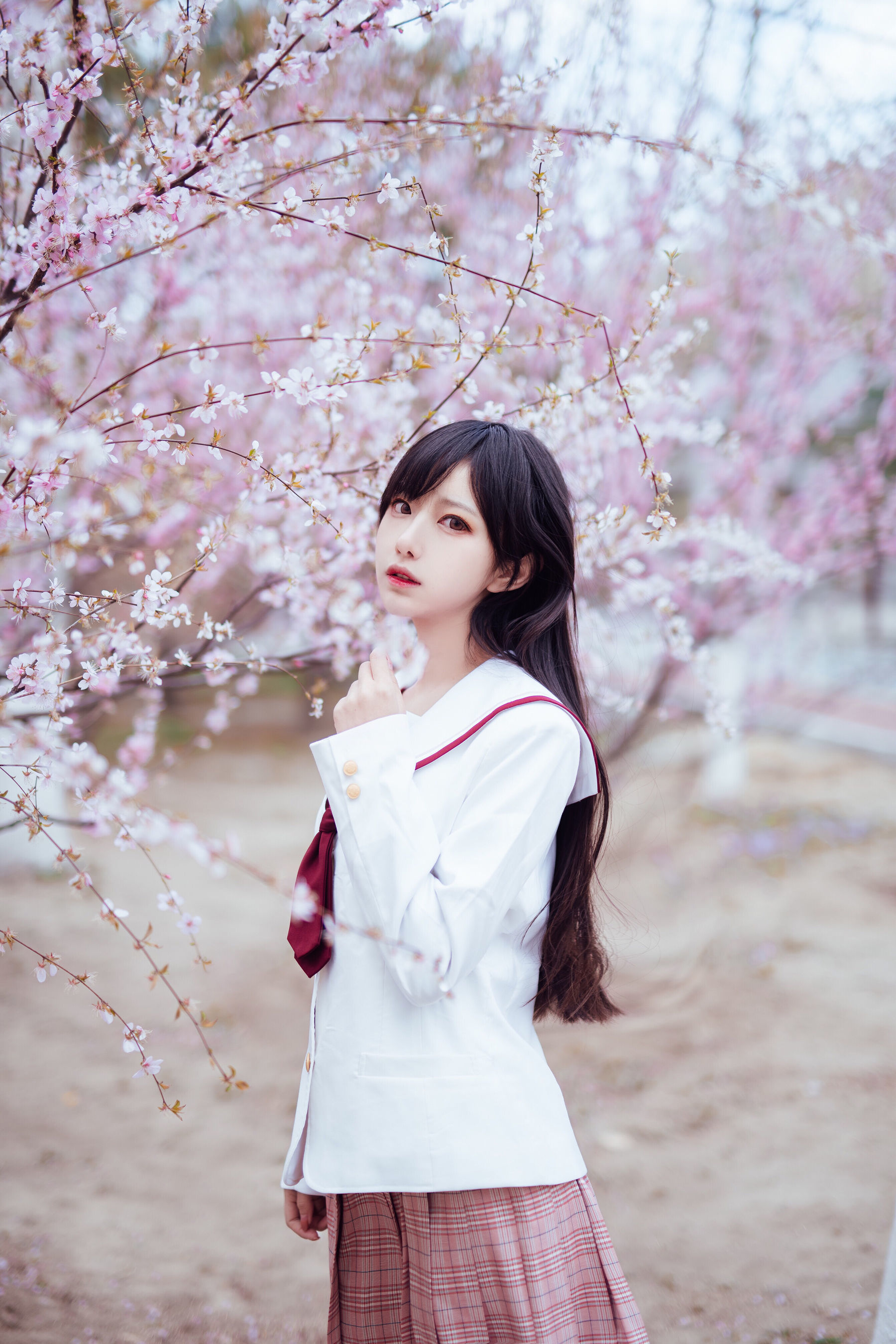 图片[1] - Shika小鹿鹿 - 樱花 [13P] - 机器猫次元 - 机器猫次元
