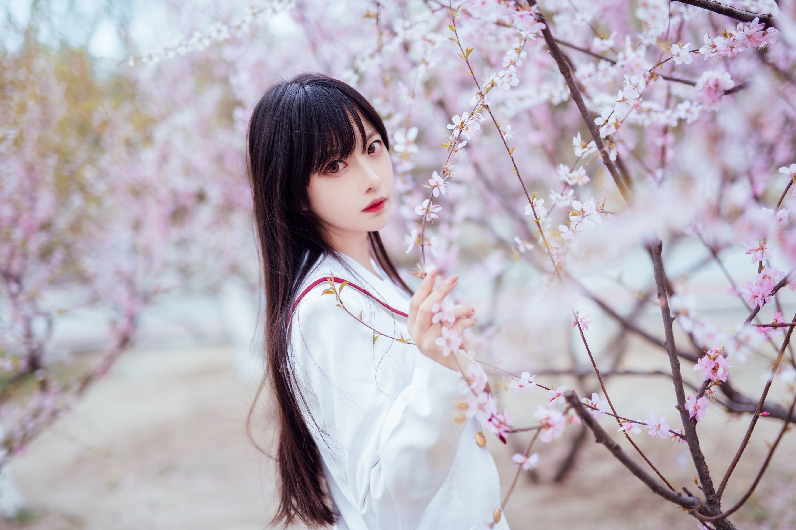 图片[6] - Shika小鹿鹿 - 樱花 [13P] - 机器猫次元 - 机器猫次元