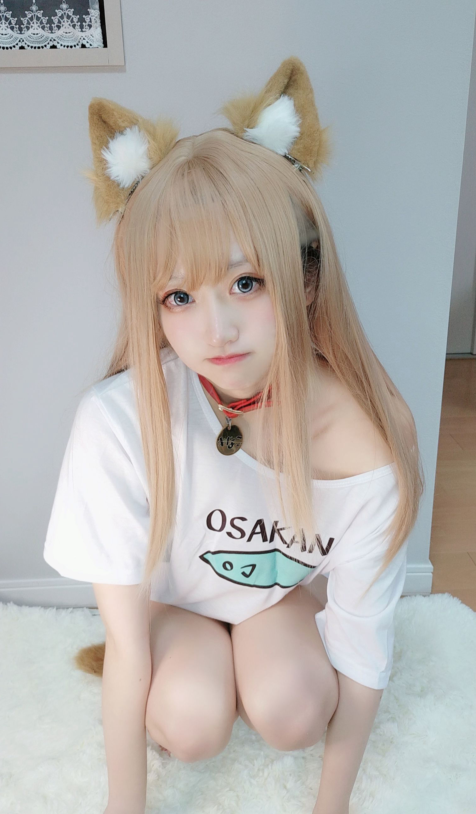 图片[1] - 千阳 - 40原设猫猫 [13P] - 机器猫次元 - 机器猫次元