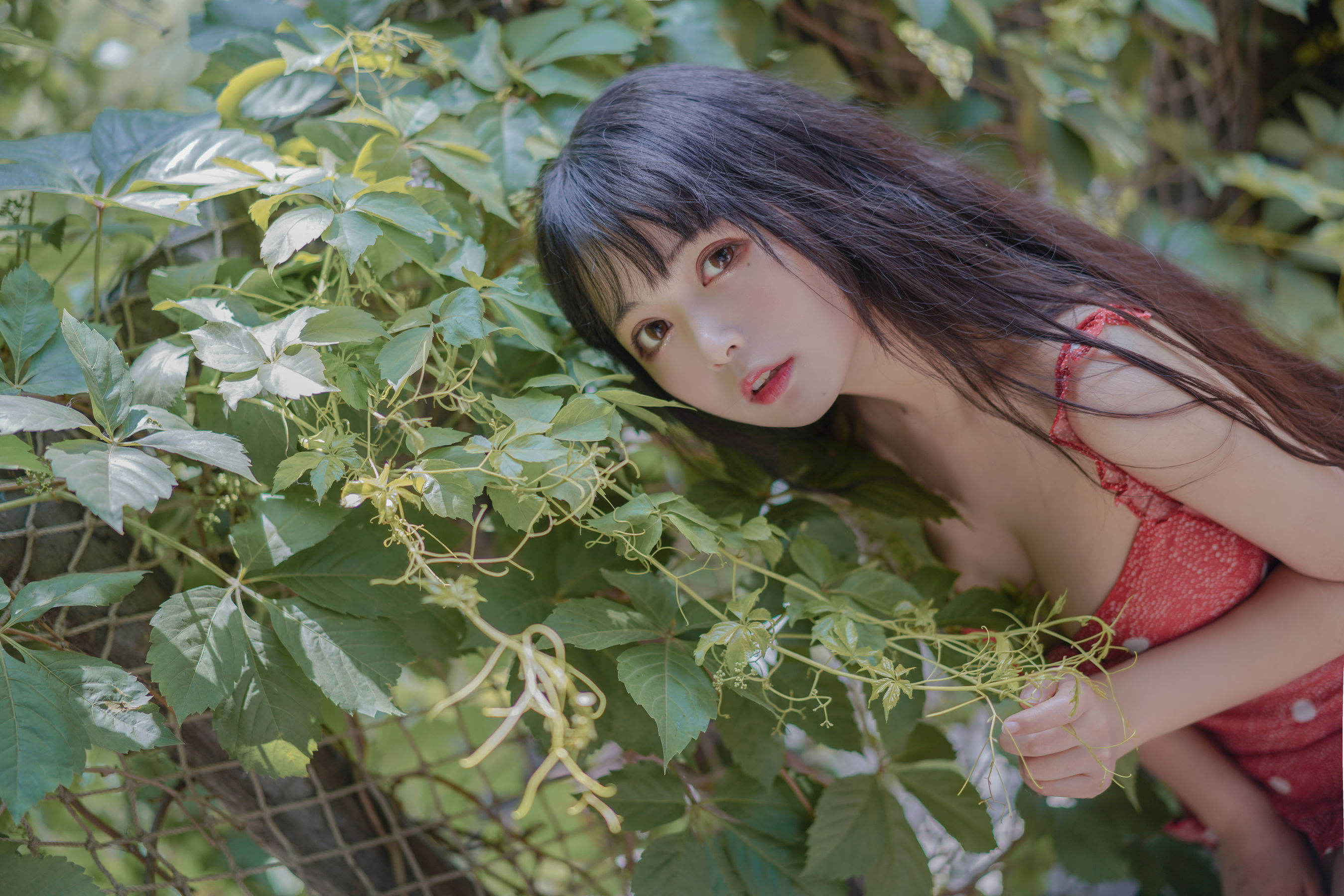 图片[6] - 黑猫猫OvO - 草莓 [32P] - 机器猫次元 - 机器猫次元