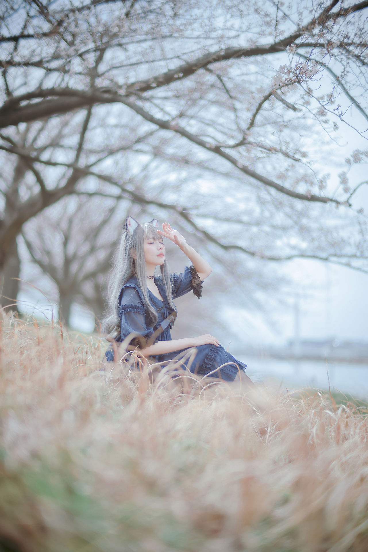 图片[1] - ElyEE子 - Sakura [64P] - 机器猫次元 - 机器猫次元