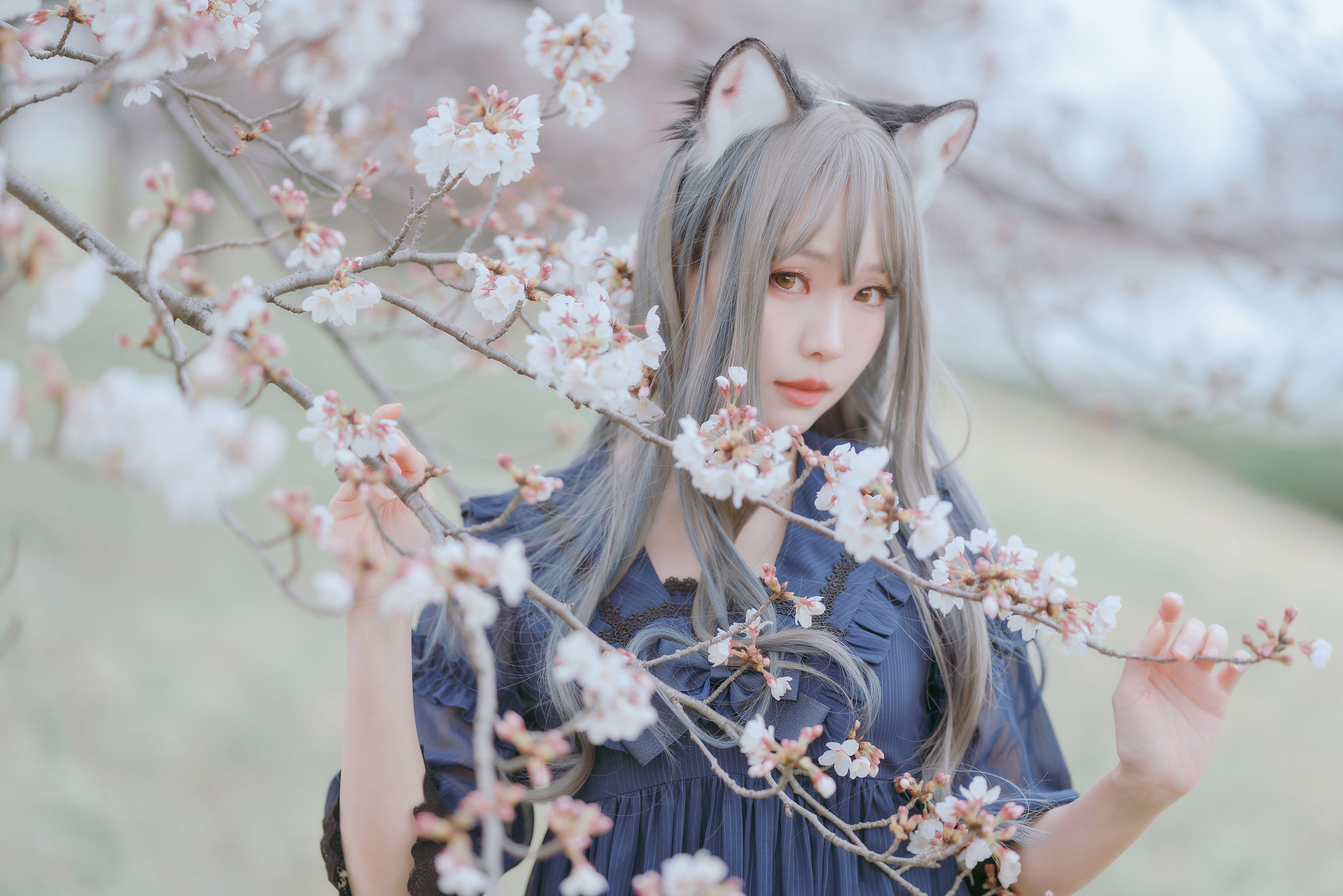 图片[8] - ElyEE子 - Sakura [64P] - 机器猫次元 - 机器猫次元