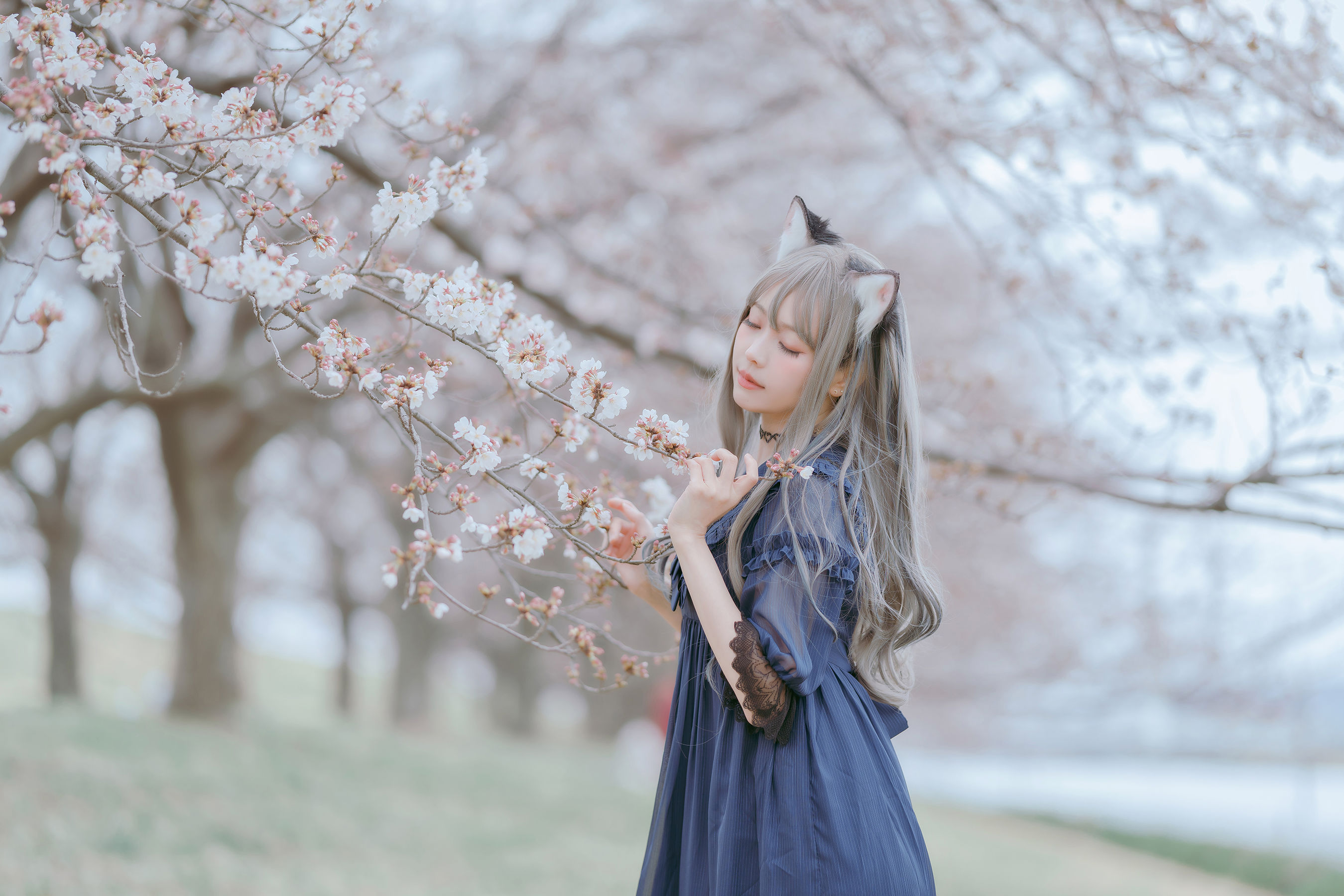 图片[7] - ElyEE子 - Sakura [64P] - 机器猫次元 - 机器猫次元