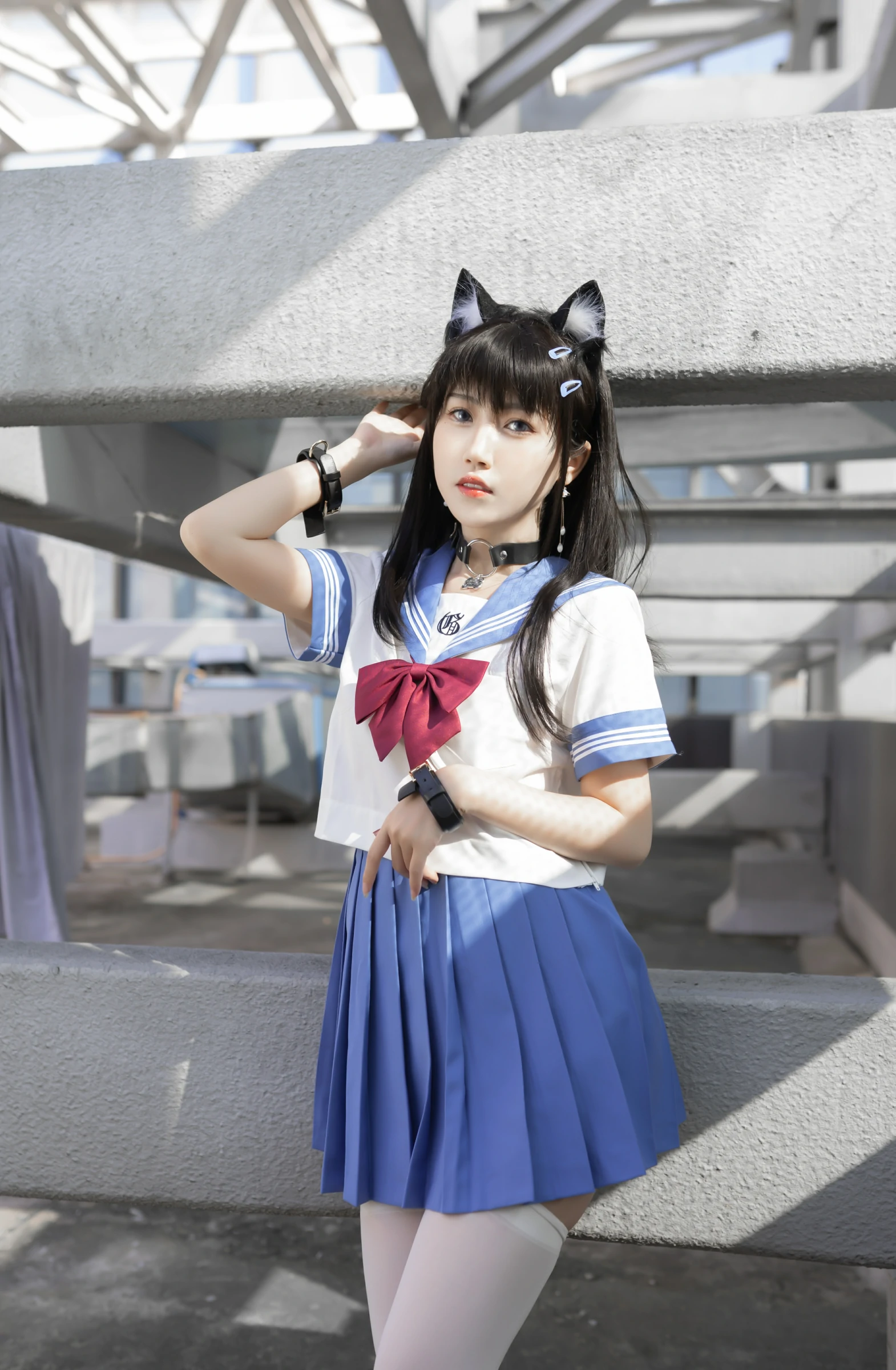 图片[1] - 不呆猫 - 天台小m猫 [96P] - 机器猫次元 - 机器猫次元