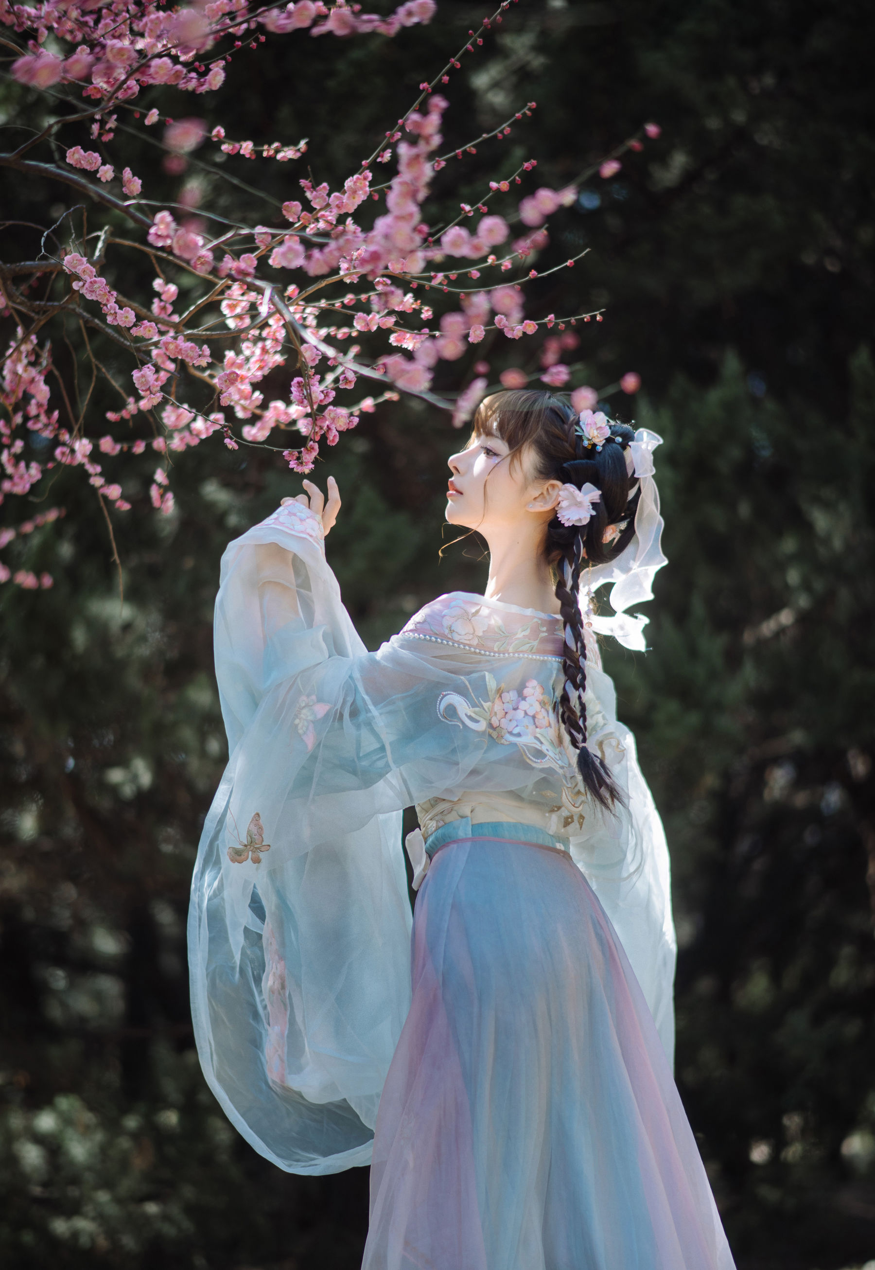 图片[2] - 紫氯氯 - 二月梅花 [17P] - 机器猫次元 - 机器猫次元