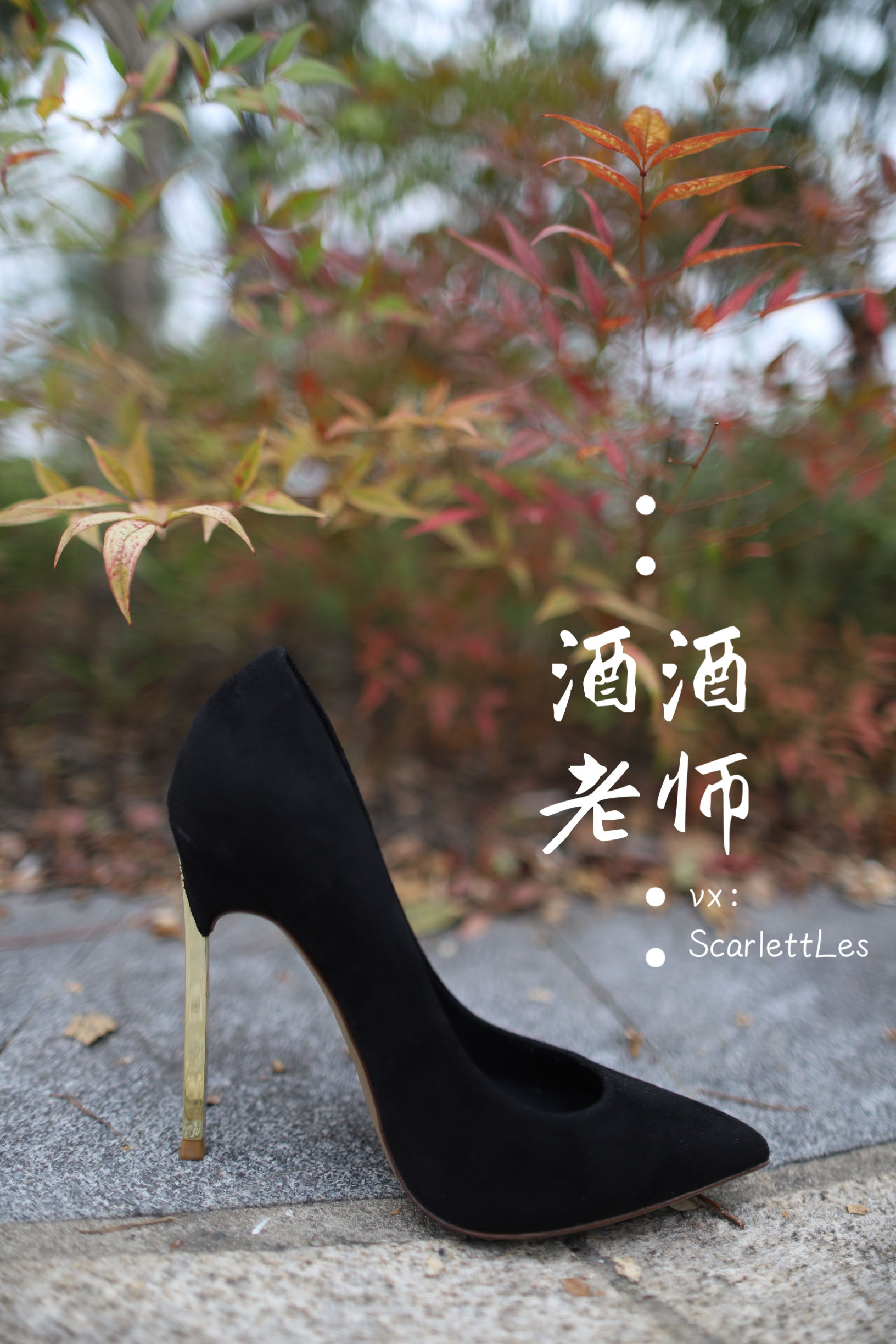 图片[2] - 酒酒老师 - 上课前误穿黒丝 [53P] - 机器猫次元 - 机器猫次元