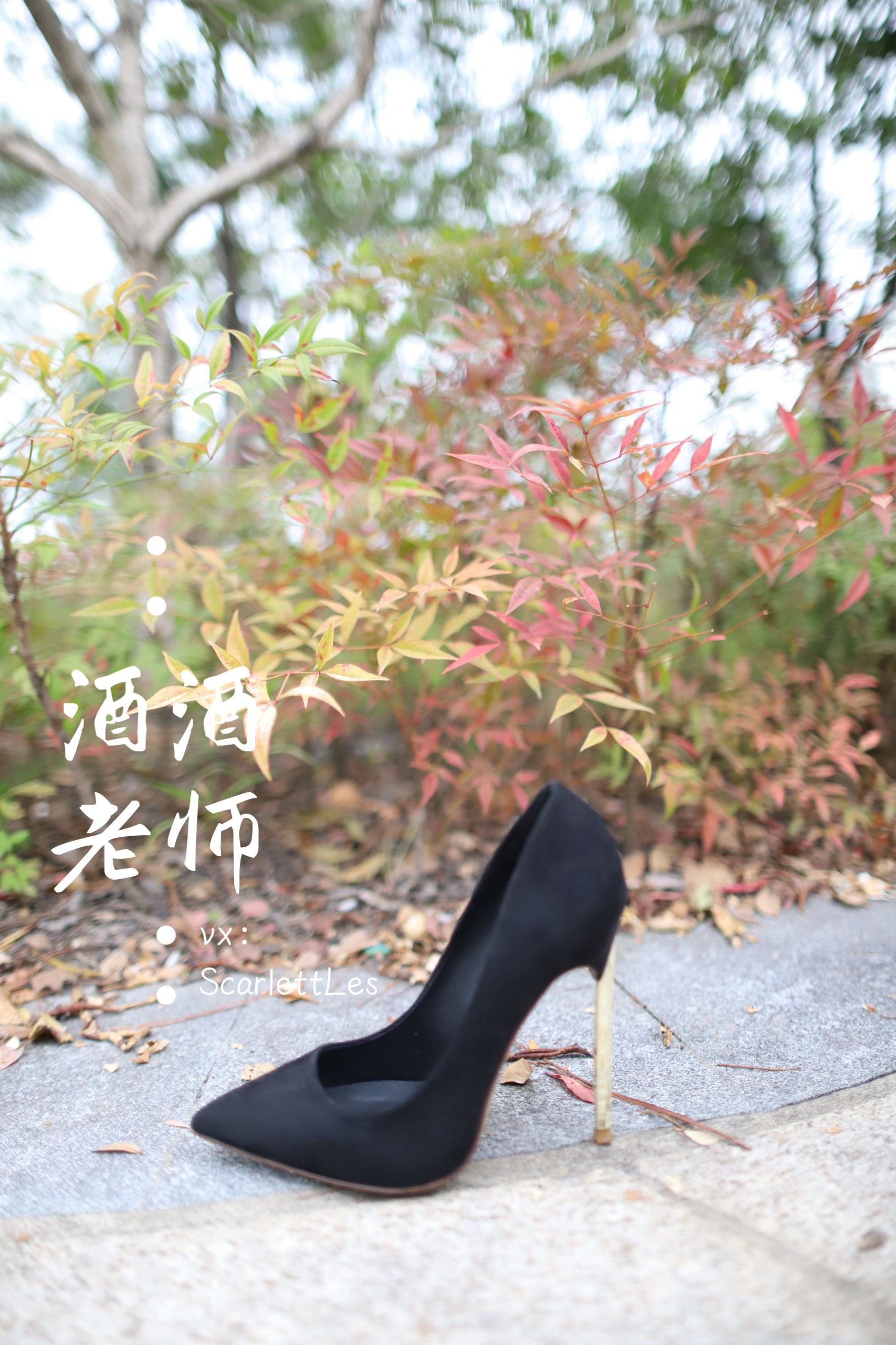 图片[5] - 酒酒老师 - 上课前误穿黒丝 [53P] - 机器猫次元 - 机器猫次元