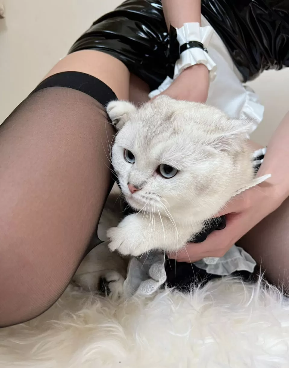 图片[7] - 就是阿朱啊 - 黑丝女郎 [64P] - 机器猫次元 - 机器猫次元