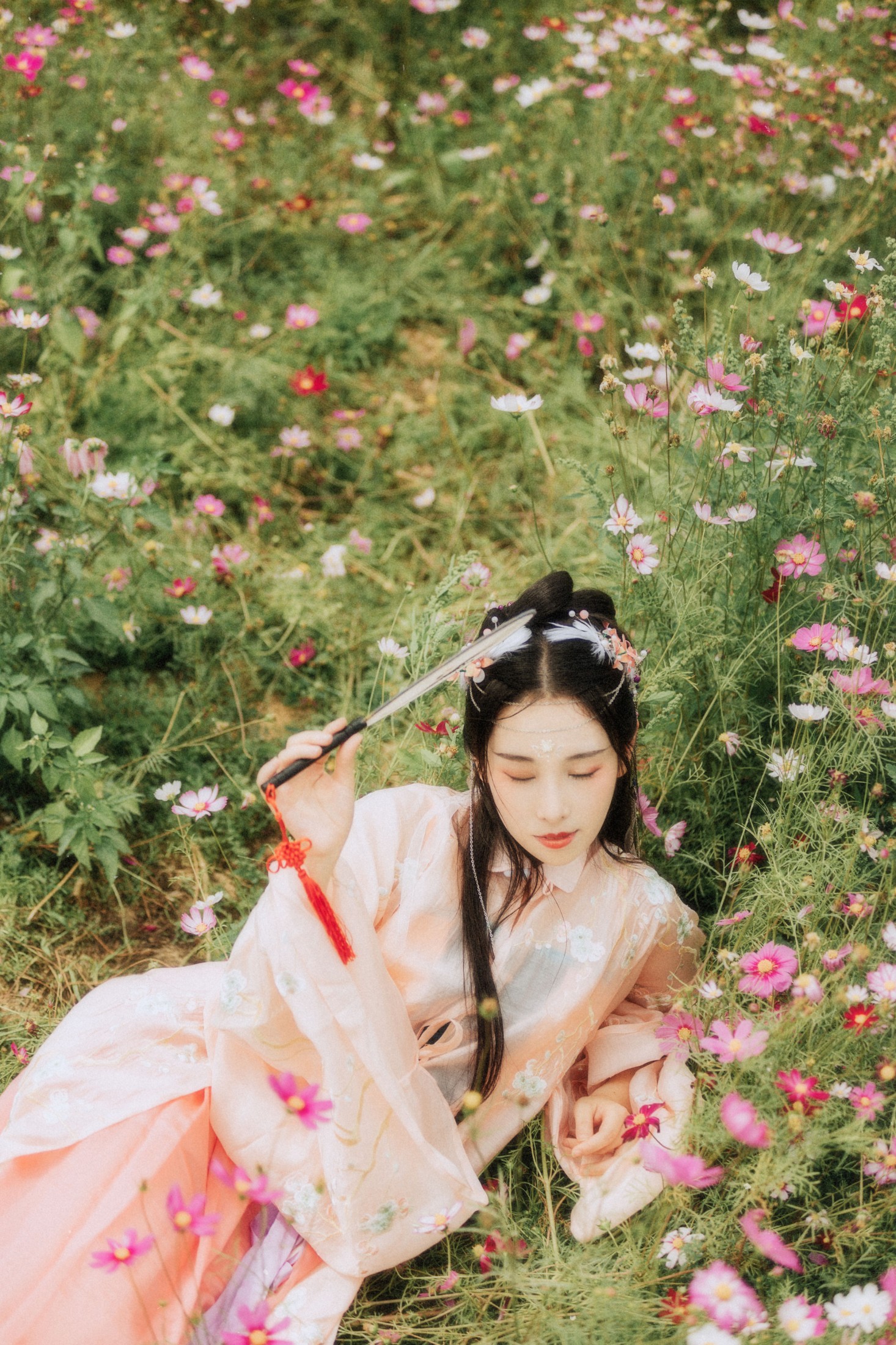图片[6] - 茶茶 - 《繁花孤影》[24P] - 机器猫次元 - 机器猫次元