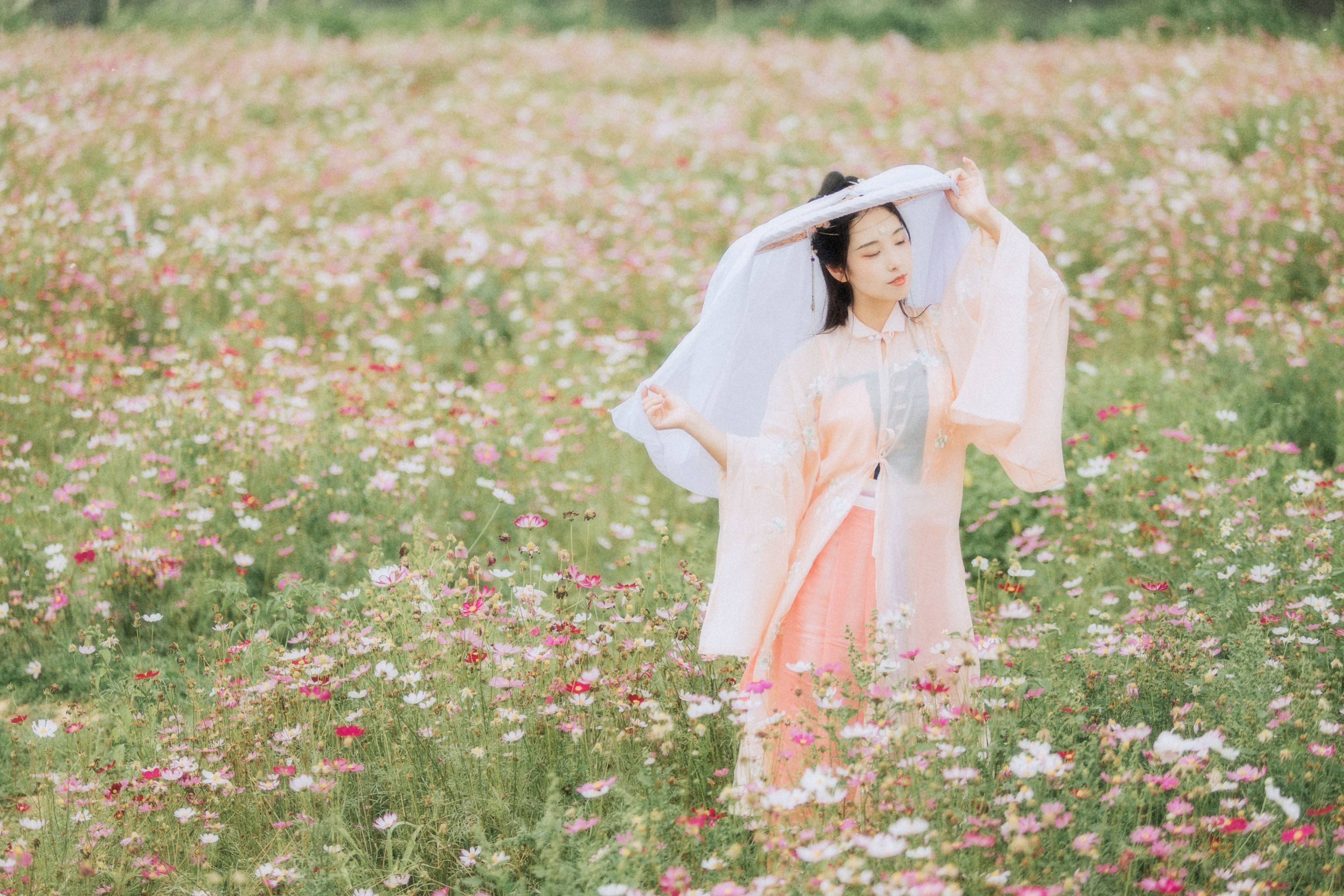 图片[3] - 茶茶 - 《繁花孤影》[24P] - 机器猫次元 - 机器猫次元