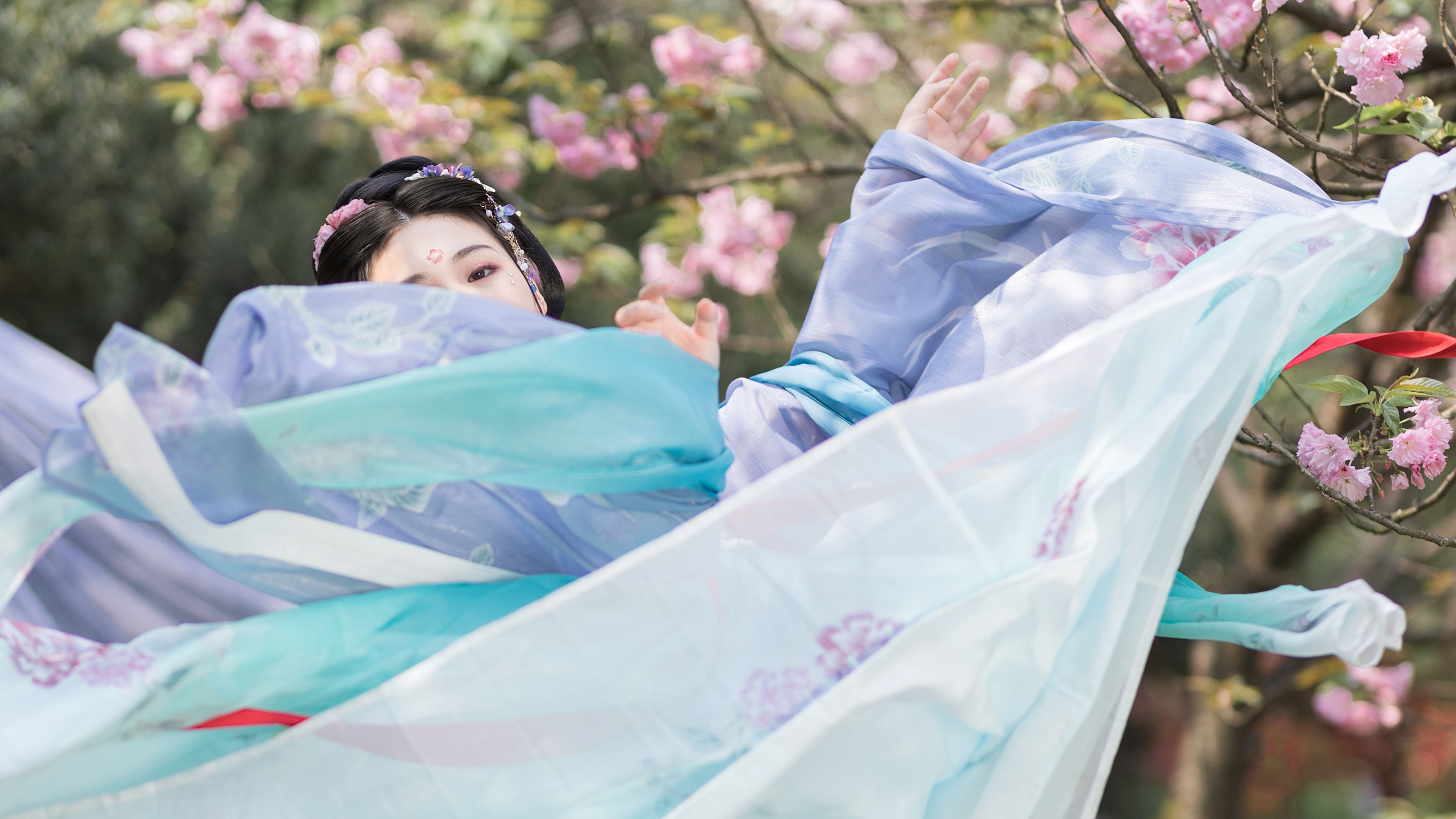 图片[5] - 青卿 - 《美人如樱》[20P] - 机器猫次元 - 机器猫次元