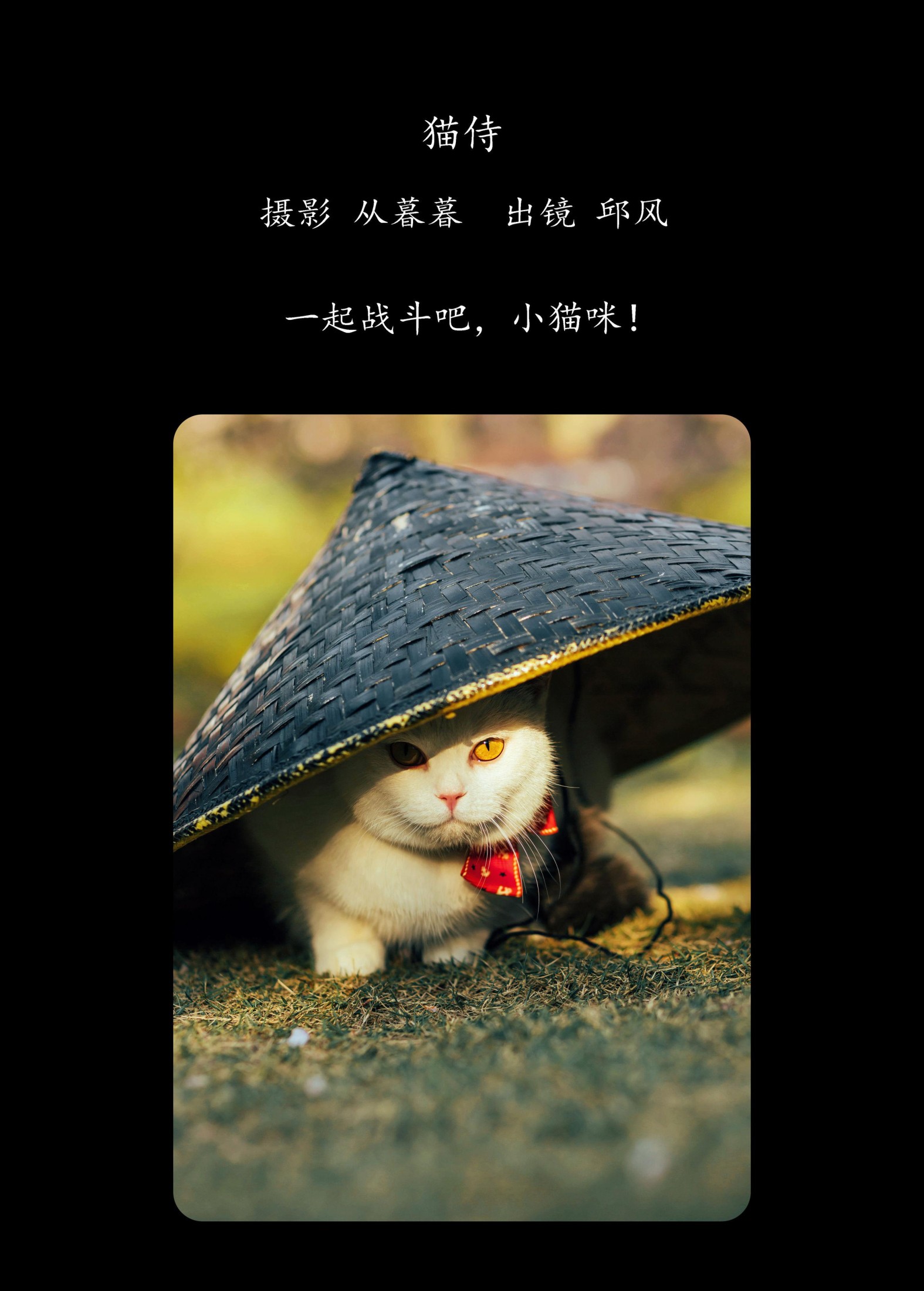 图片[2] - 邱风 - 《猫侍》[31P] - 机器猫次元 - 机器猫次元