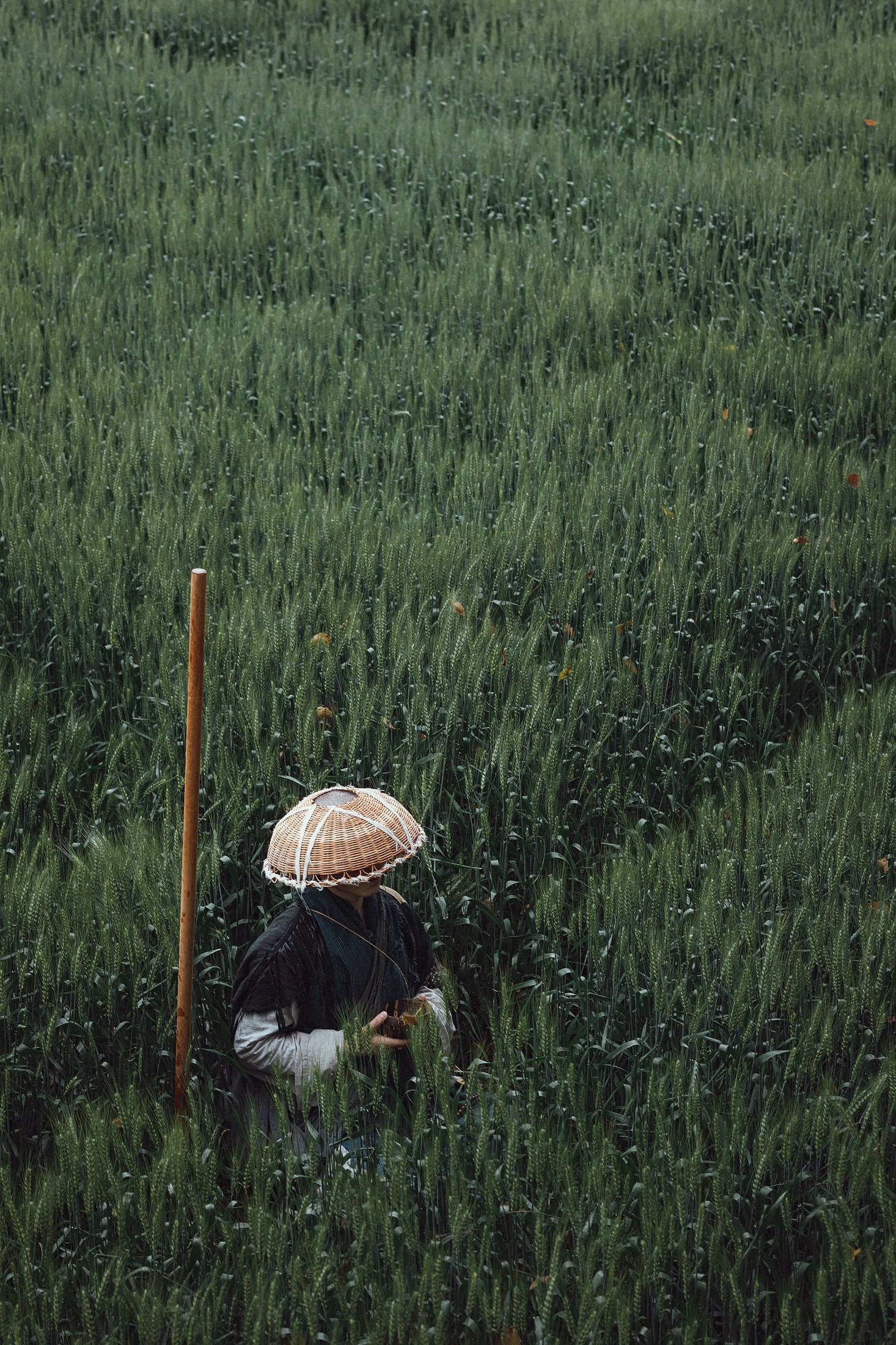 图片[6] - 辣条师傅 - 《游僧》[34P] - 机器猫次元 - 机器猫次元