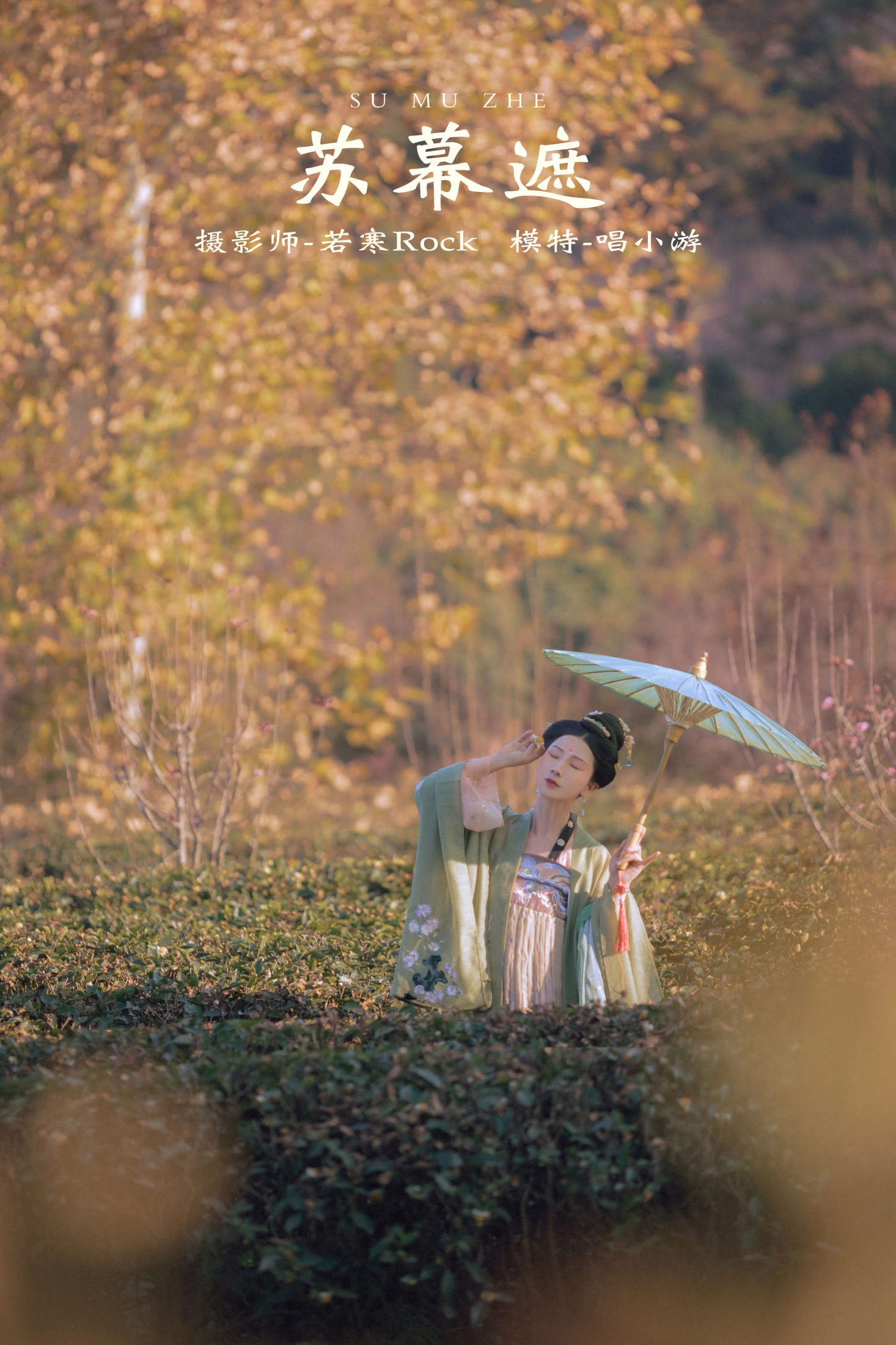 图片[1] - v唱小游v - 《苏幕遮》[26P] - 机器猫次元 - 机器猫次元