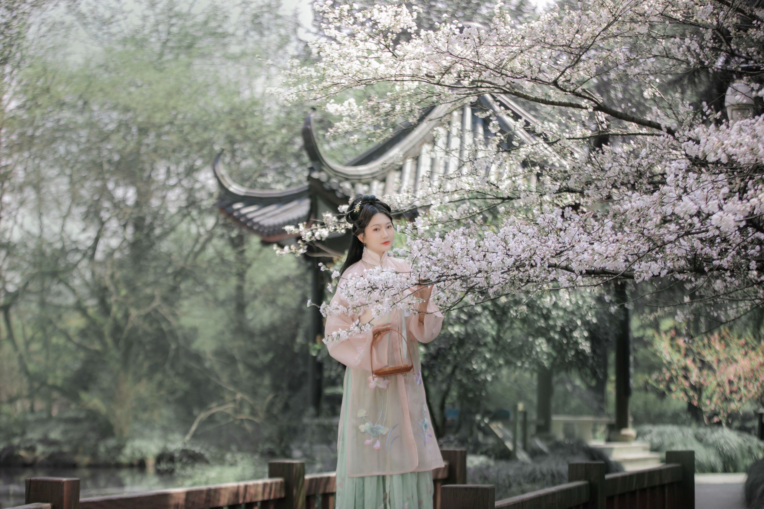 图片[5] - 包包 - 《樱》[22P] - 机器猫次元 - 机器猫次元