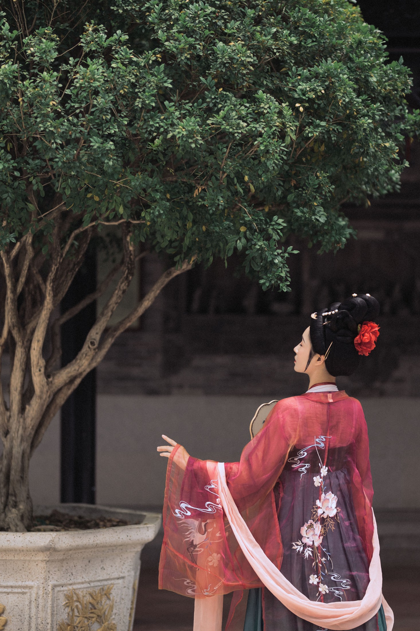 图片[6] - 瑞雪mizuyuki - 《罗敷媚》[25P] - 机器猫次元 - 机器猫次元
