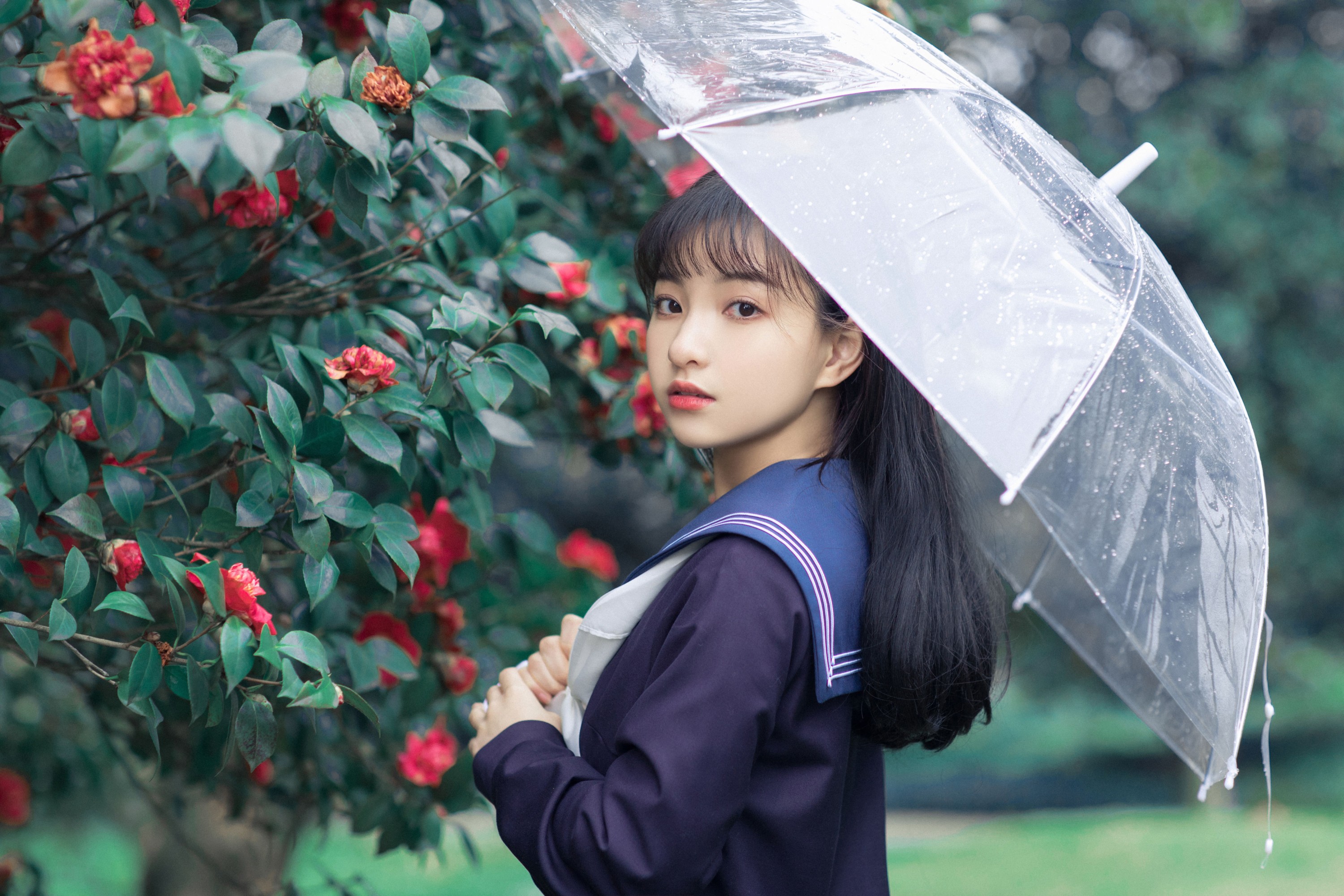 图片[5] - 猪系少女日 - 《山茶》[18P] - 机器猫次元 - 机器猫次元