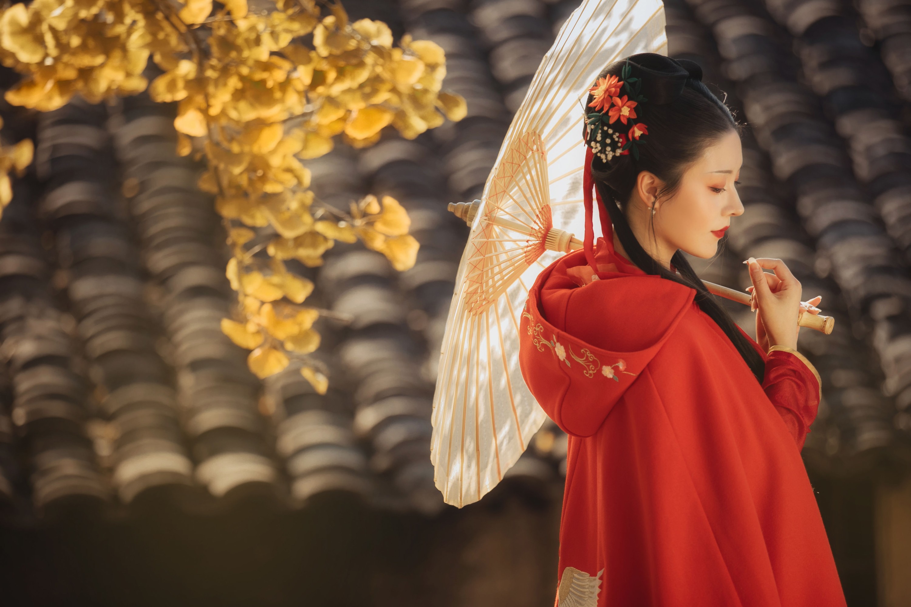 图片[3] - 葵花花花儿 - 《长相思》[23P] - 机器猫次元 - 机器猫次元