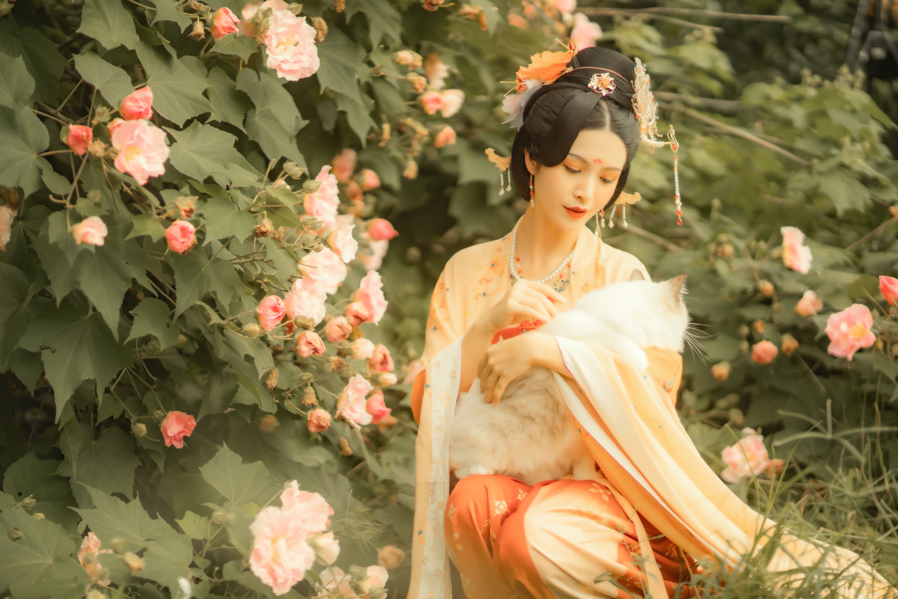 图片[7] - 修水凝花 - 《芙蓉词》[38P] - 机器猫次元 - 机器猫次元