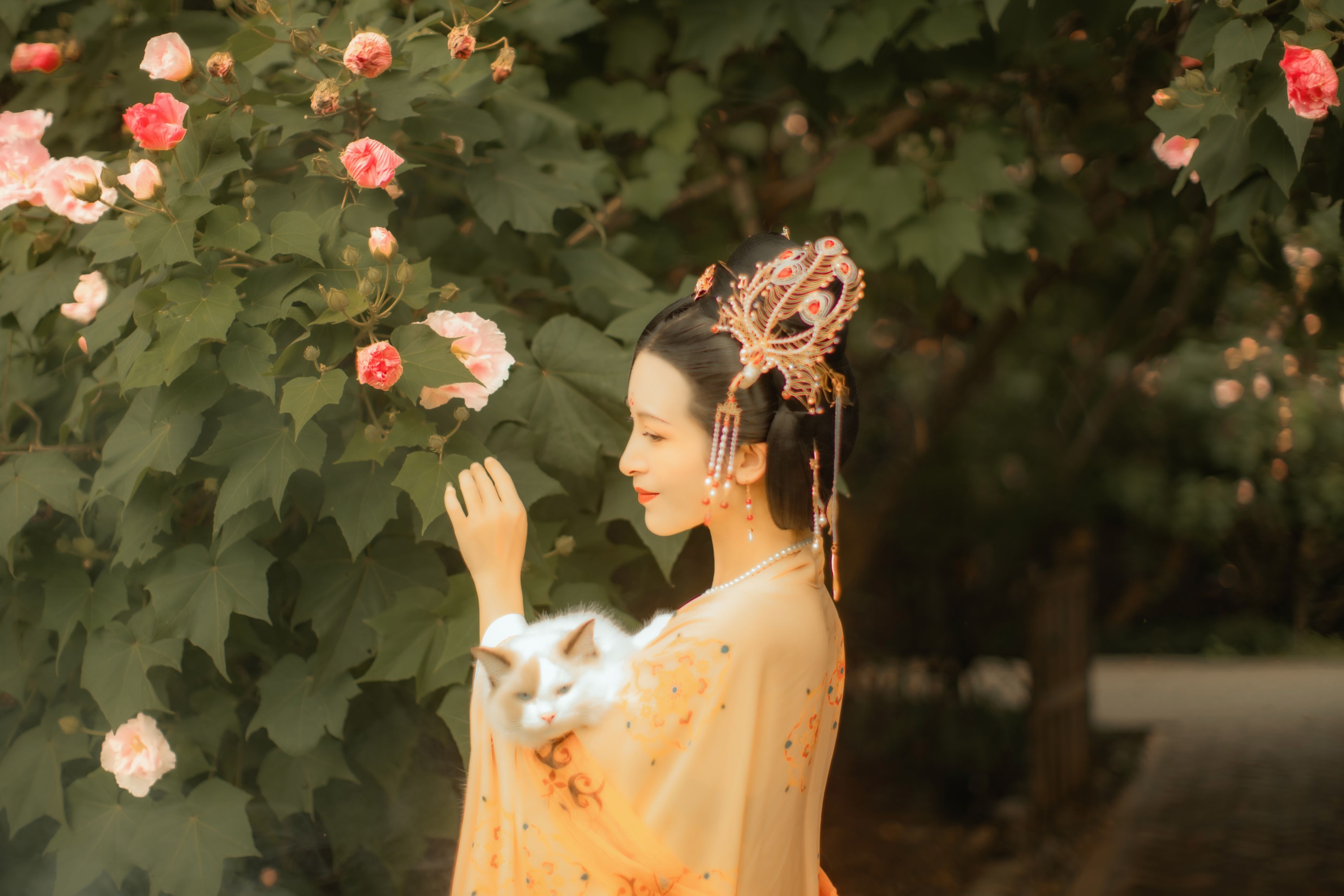 图片[4] - 修水凝花 - 《芙蓉词》[38P] - 机器猫次元 - 机器猫次元