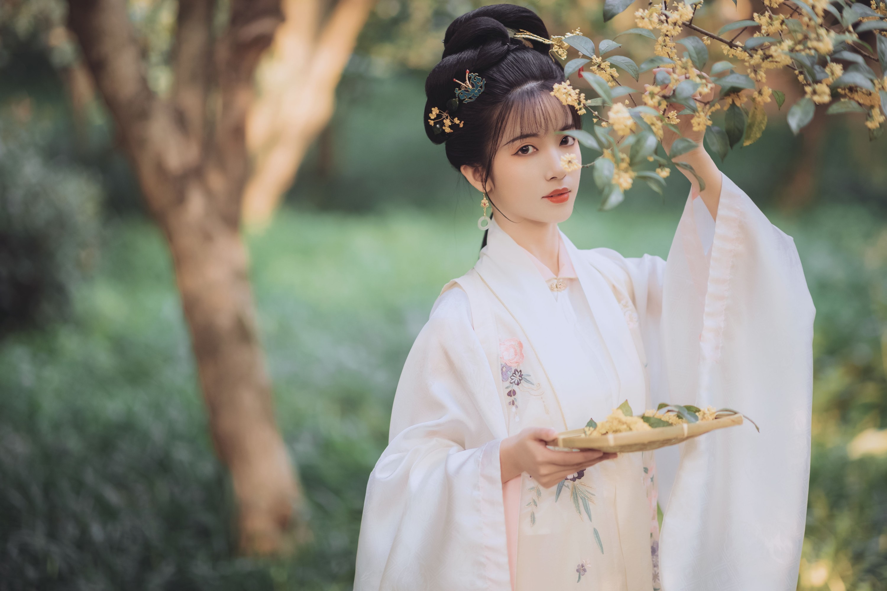 图片[7] - 一只阿梦崽 - 《桂花酿》[36P] - 机器猫次元 - 机器猫次元