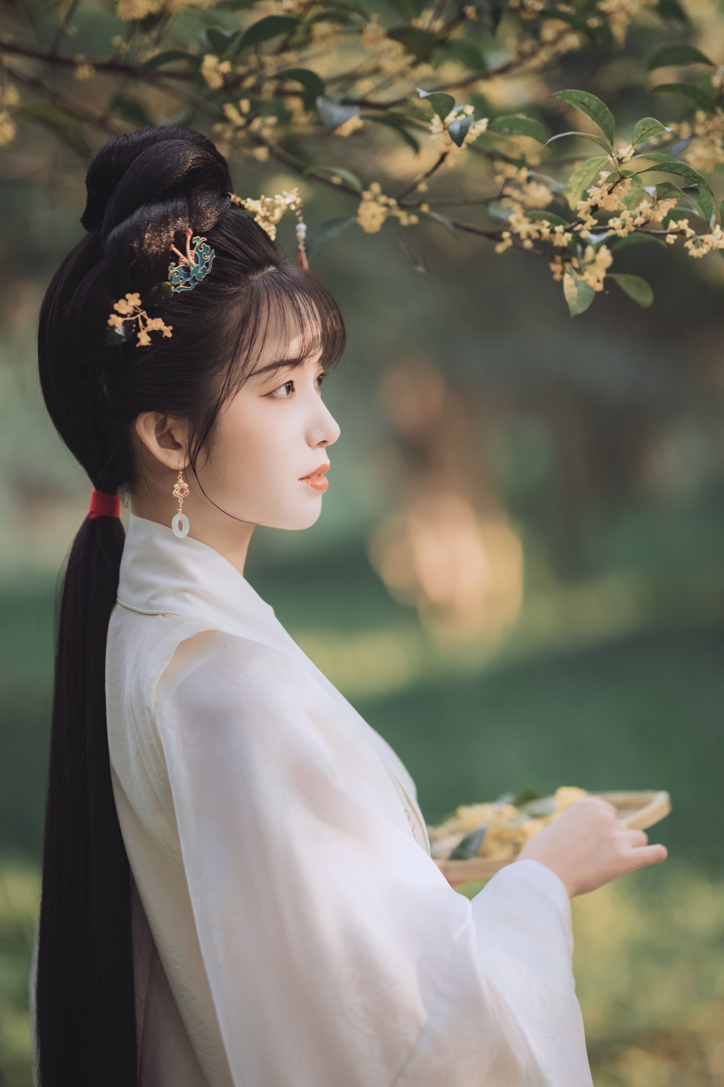 图片[3] - 一只阿梦崽 - 《桂花酿》[36P] - 机器猫次元 - 机器猫次元