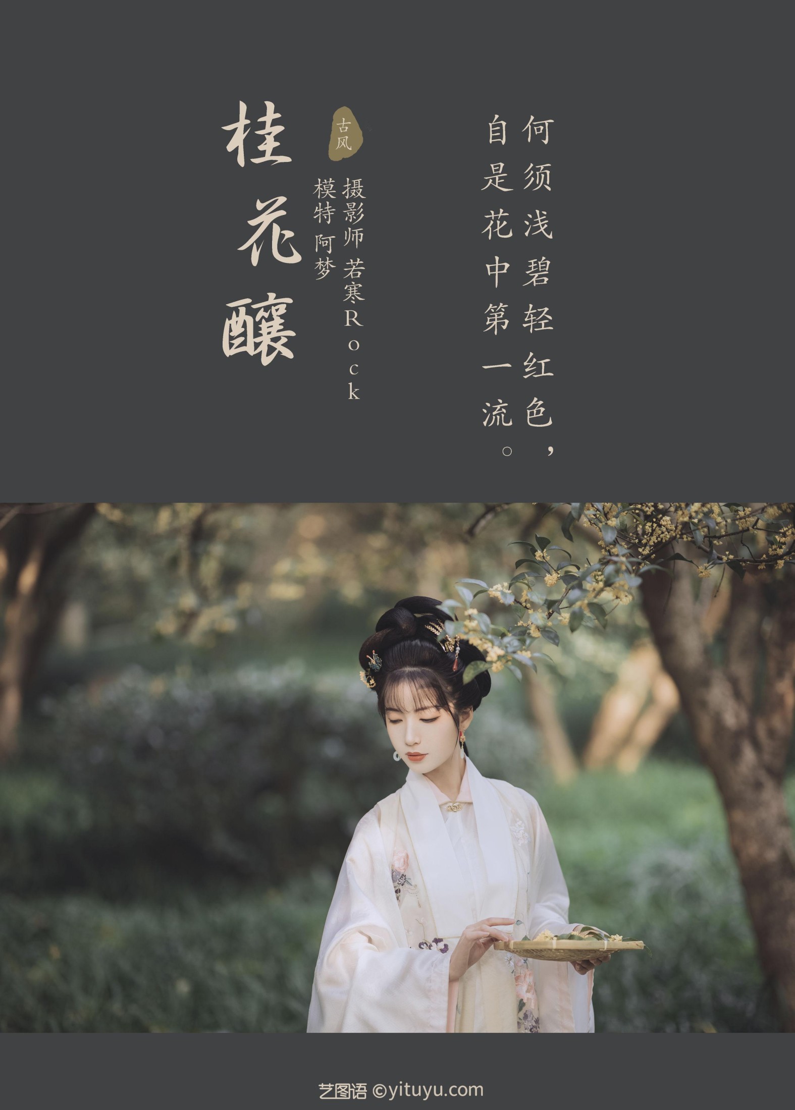 图片[2] - 一只阿梦崽 - 《桂花酿》[36P] - 机器猫次元 - 机器猫次元