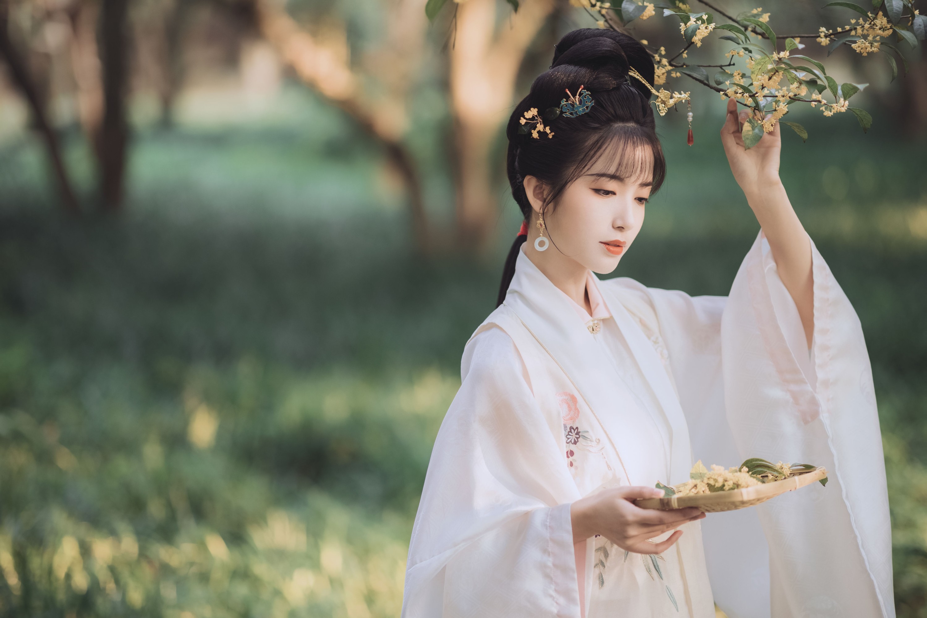 图片[6] - 一只阿梦崽 - 《桂花酿》[36P] - 机器猫次元 - 机器猫次元