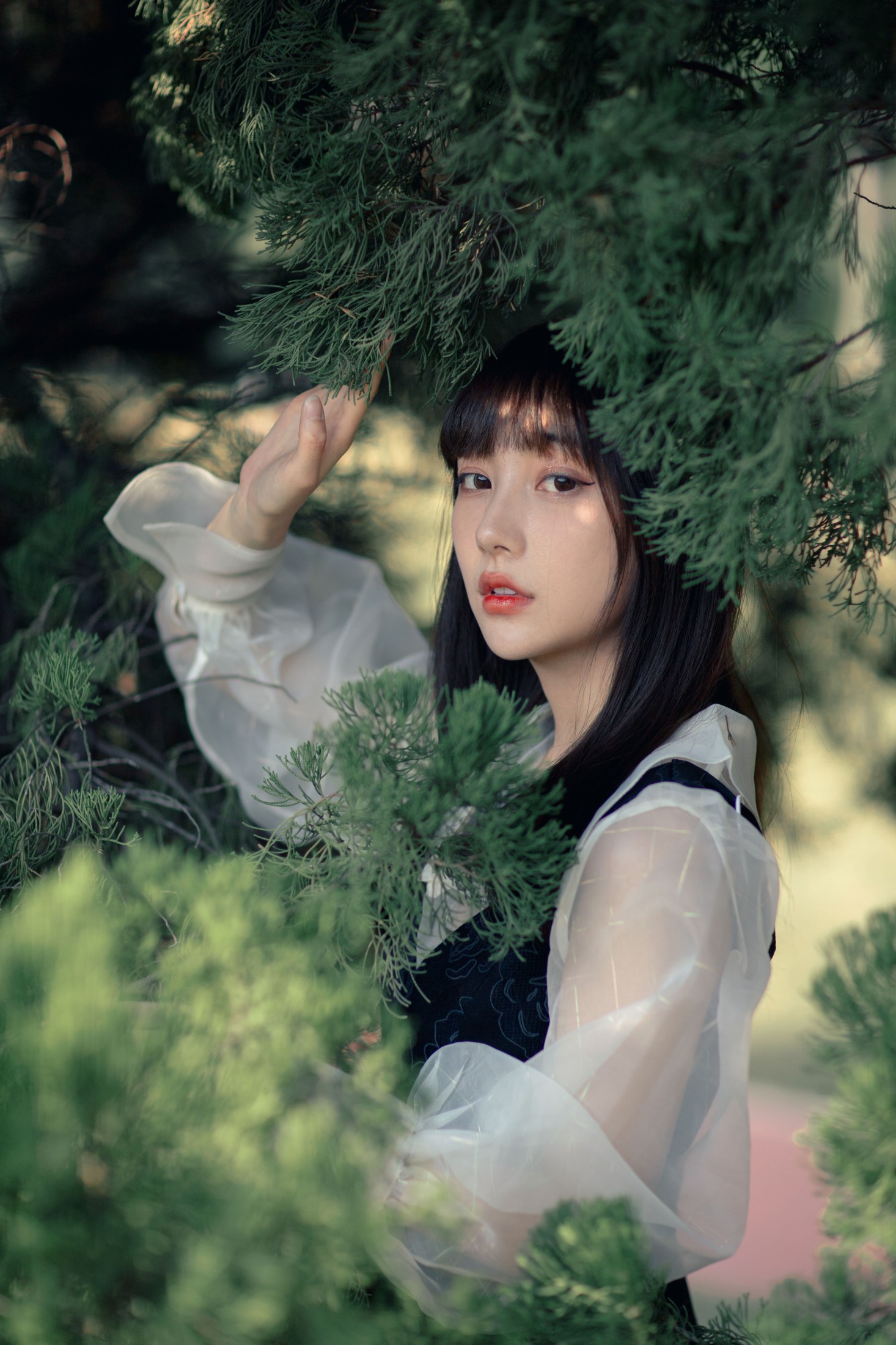 图片[8] - 星星 - 《黑玫瑰》[35P] - 机器猫次元 - 机器猫次元