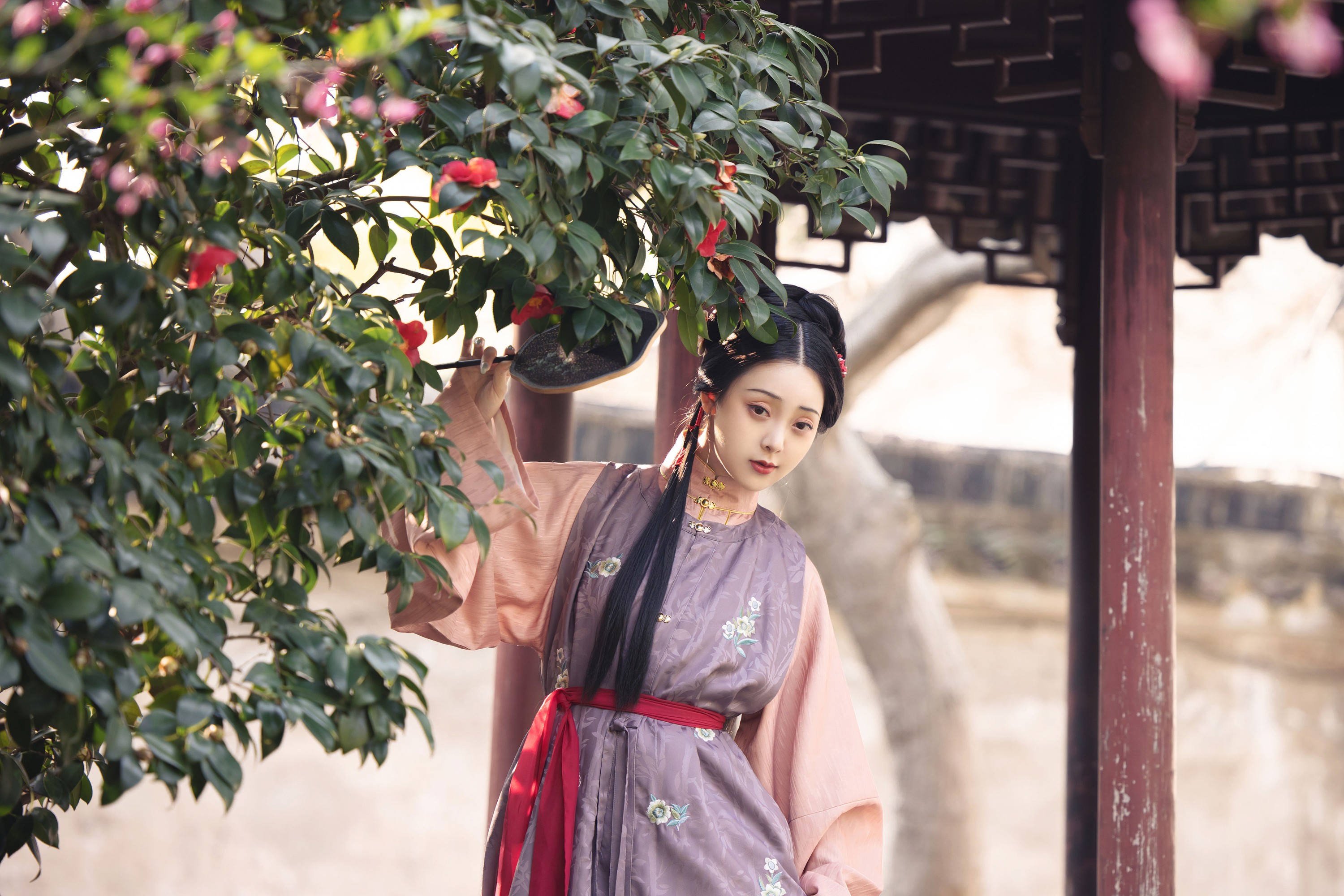 图片[3] - 煜月Toto - 《海棠》[27P] - 机器猫次元 - 机器猫次元