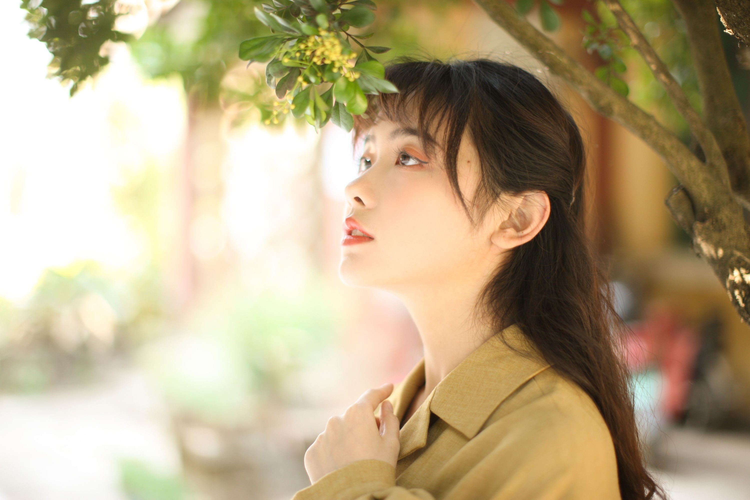 图片[3] - 黄子卿_sunny - 《花样年华》[28P] - 机器猫次元 - 机器猫次元
