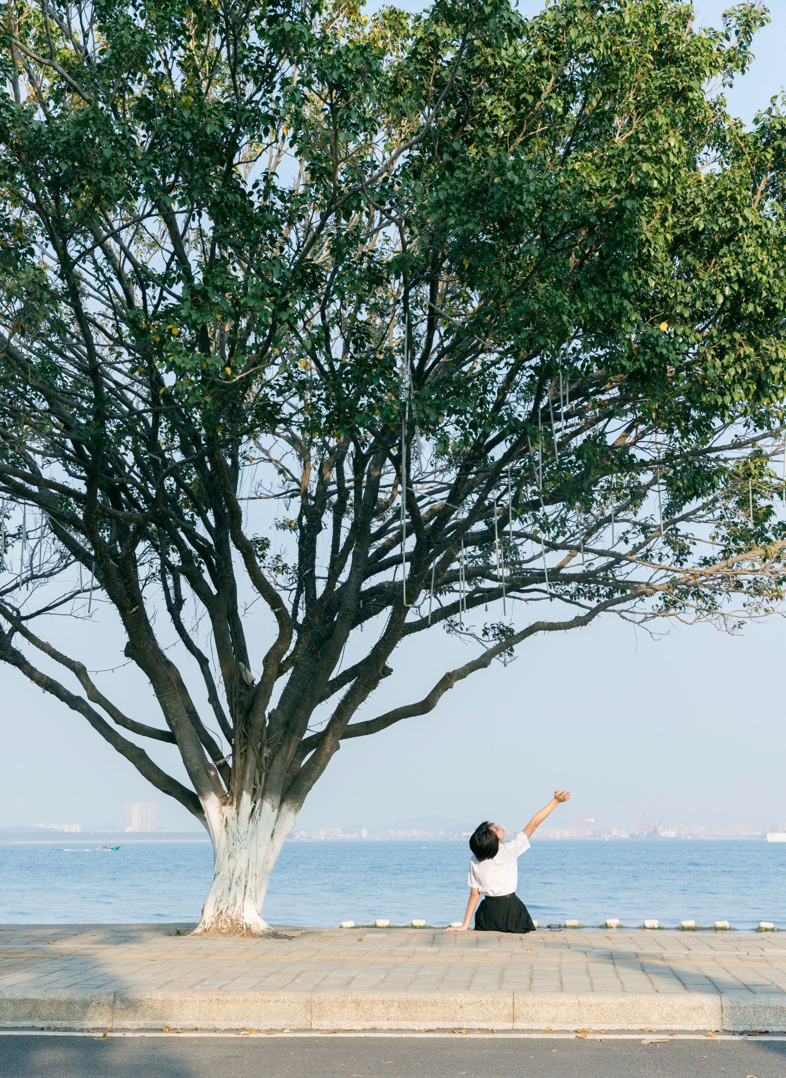 图片[7] - yeye - 《海街日记》[31P] - 机器猫次元 - 机器猫次元
