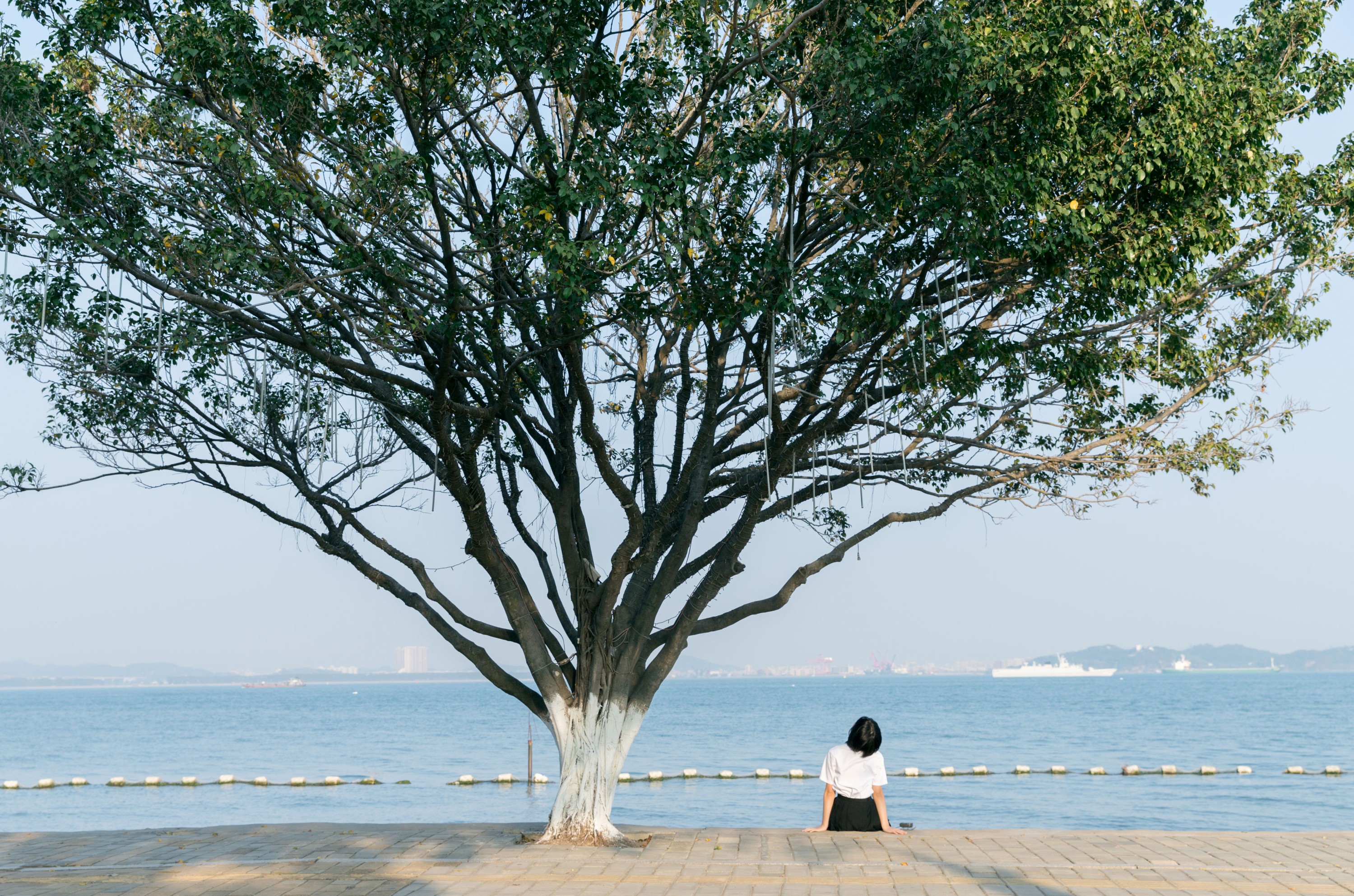 图片[6] - yeye - 《海街日记》[31P] - 机器猫次元 - 机器猫次元