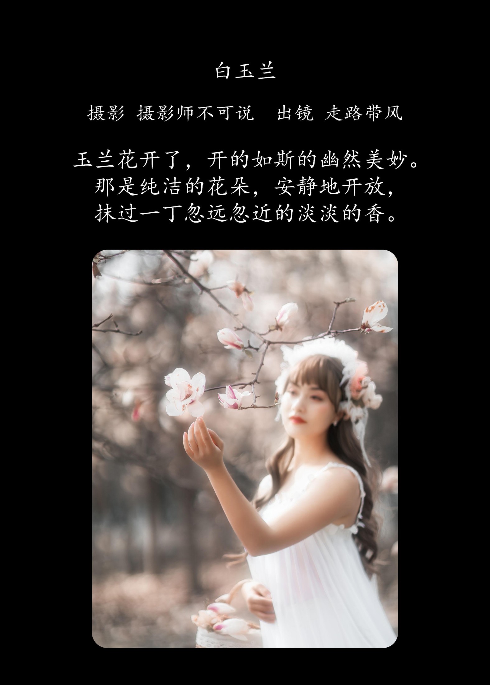 图片[2] - 走路带风 - 《白玉兰》[25P] - 机器猫次元 - 机器猫次元