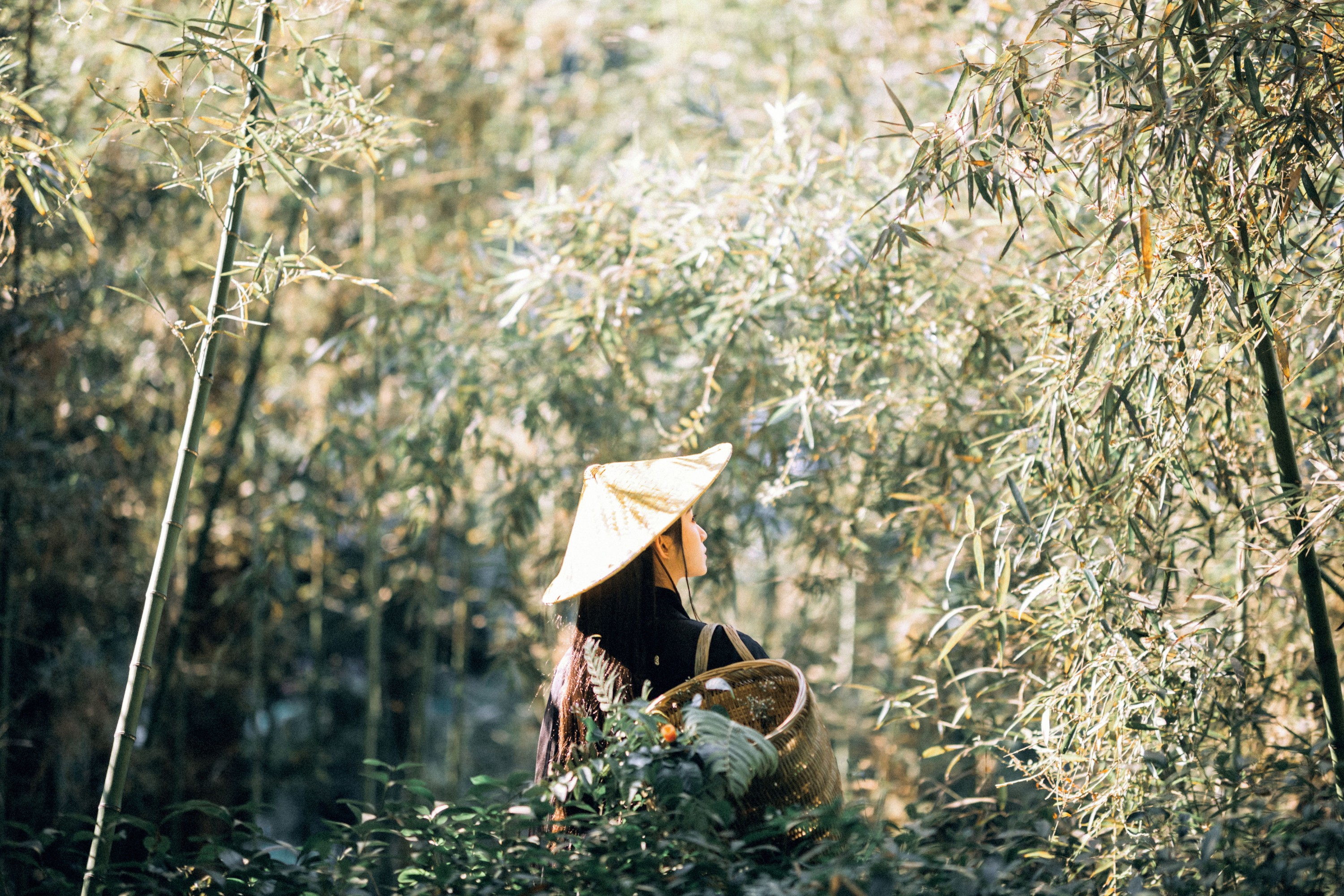 图片[3] - 七屿呀_ - 《采药》[30P] - 机器猫次元 - 机器猫次元